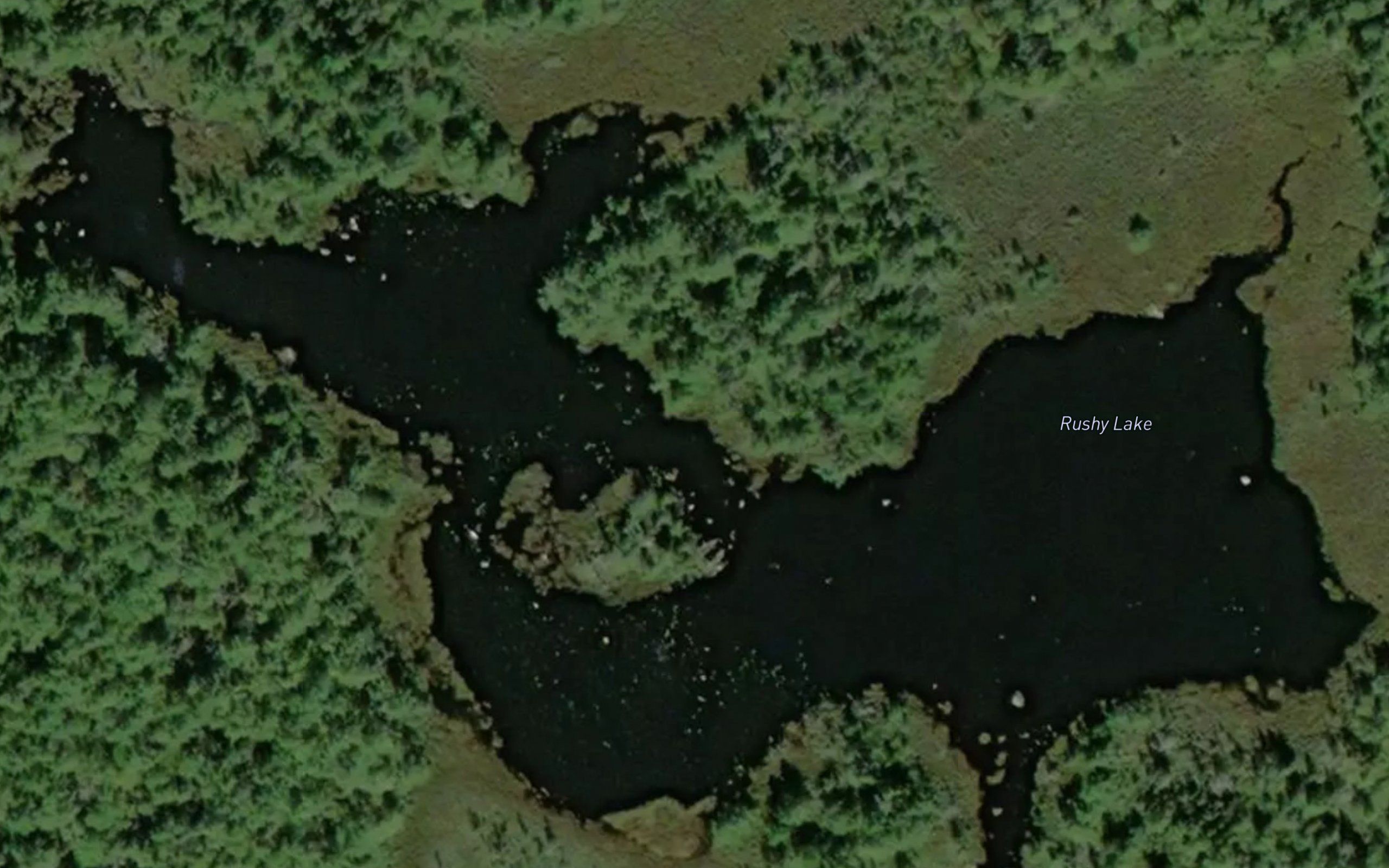 Rushy Lake