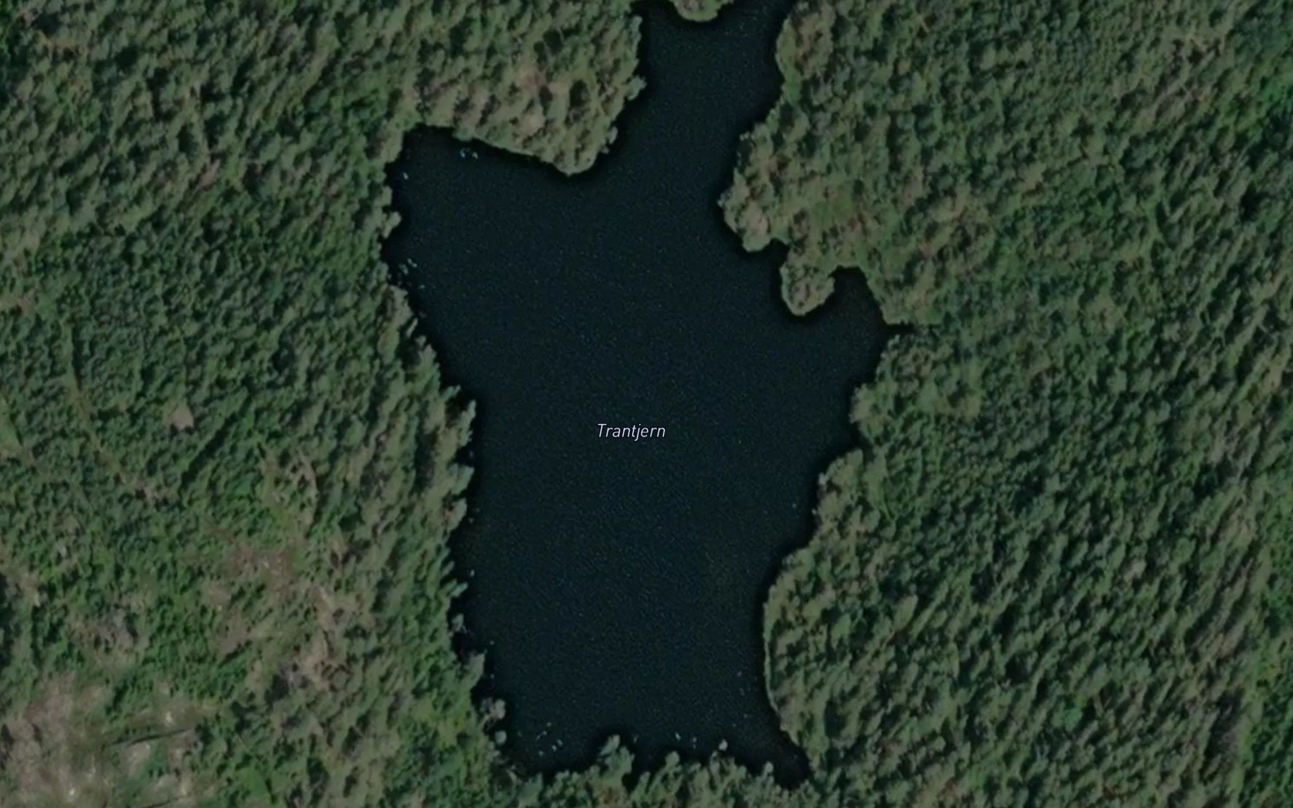 Trantjern