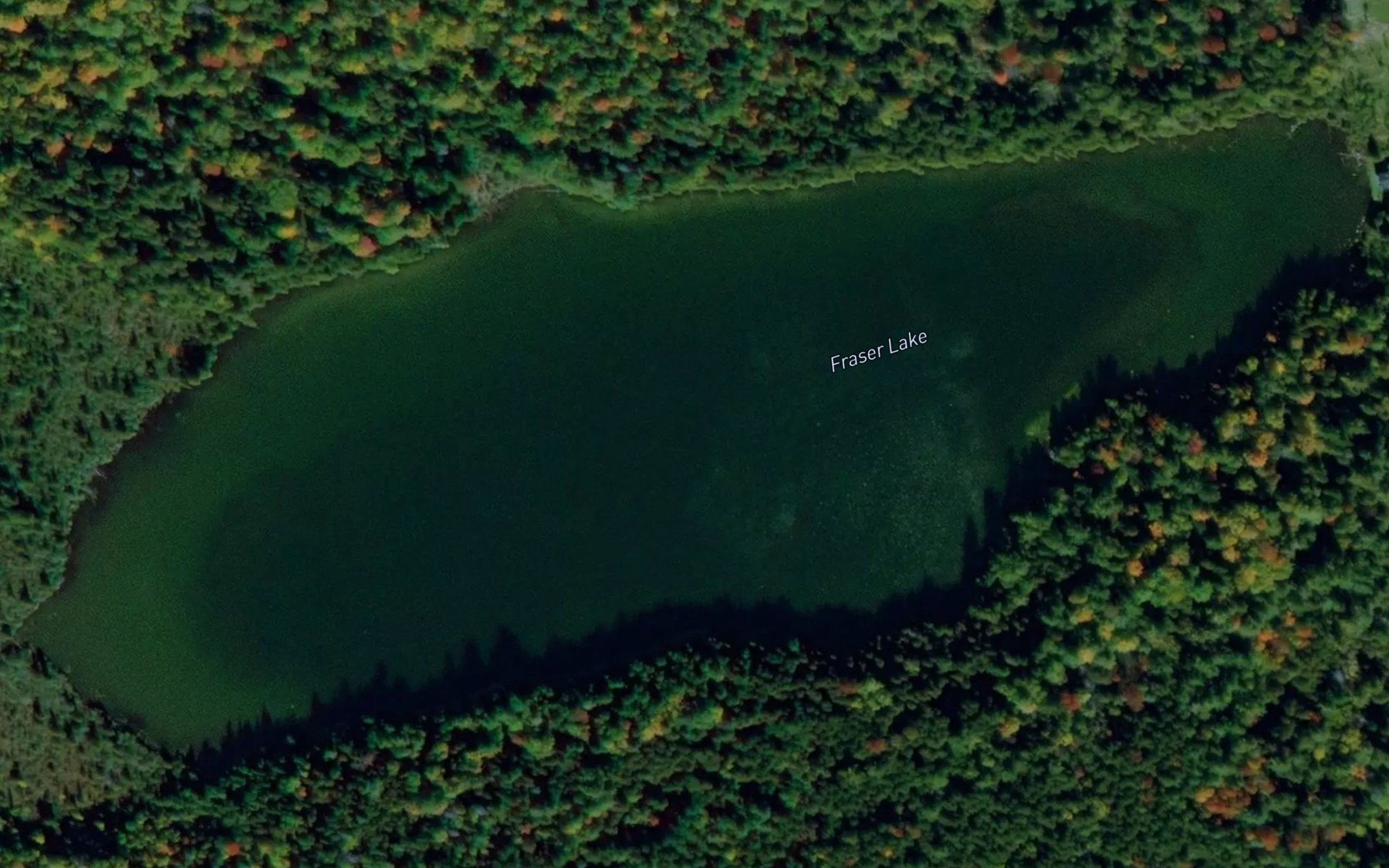 Satellite map of the Fraser Lake