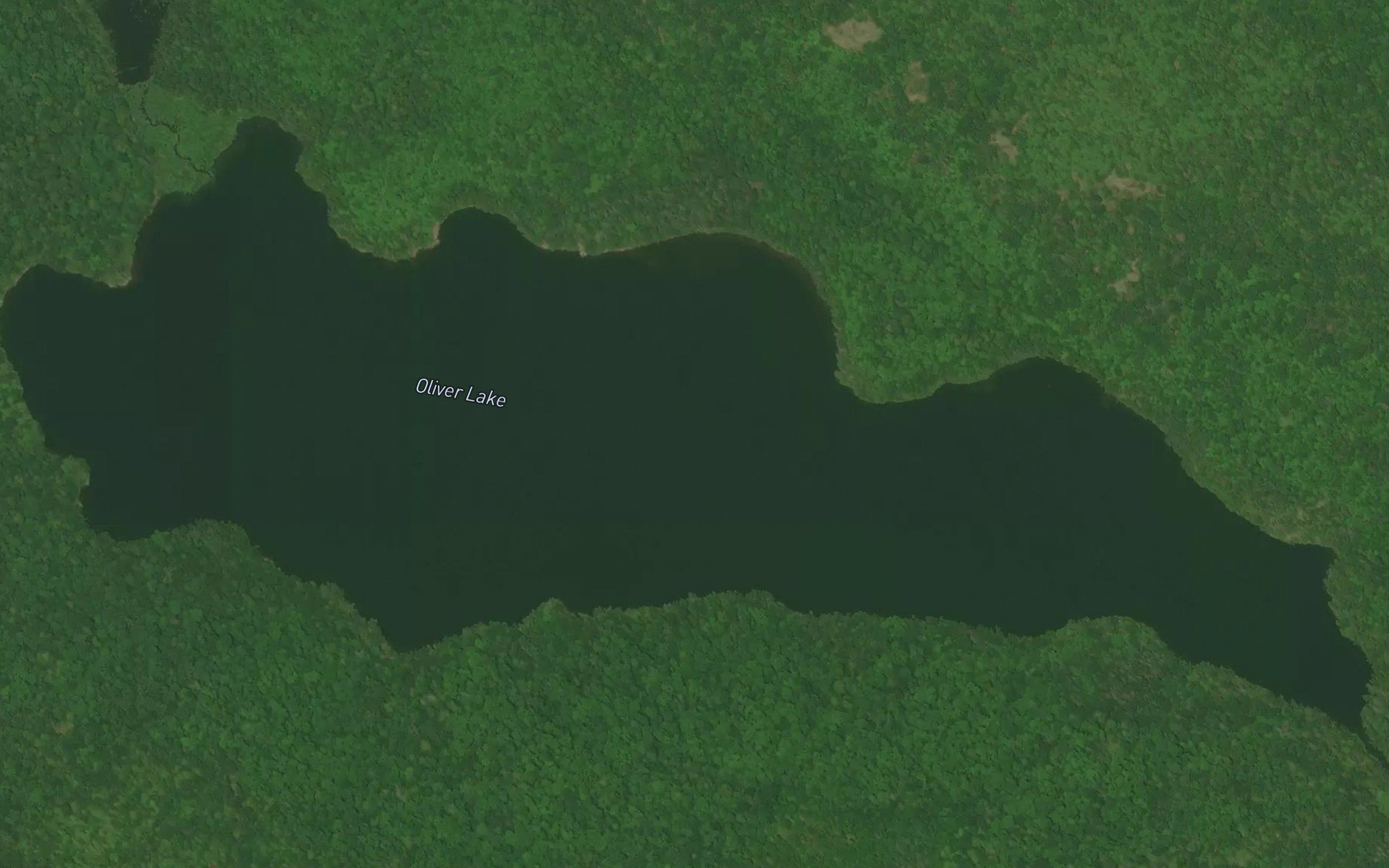 Oliver Lake