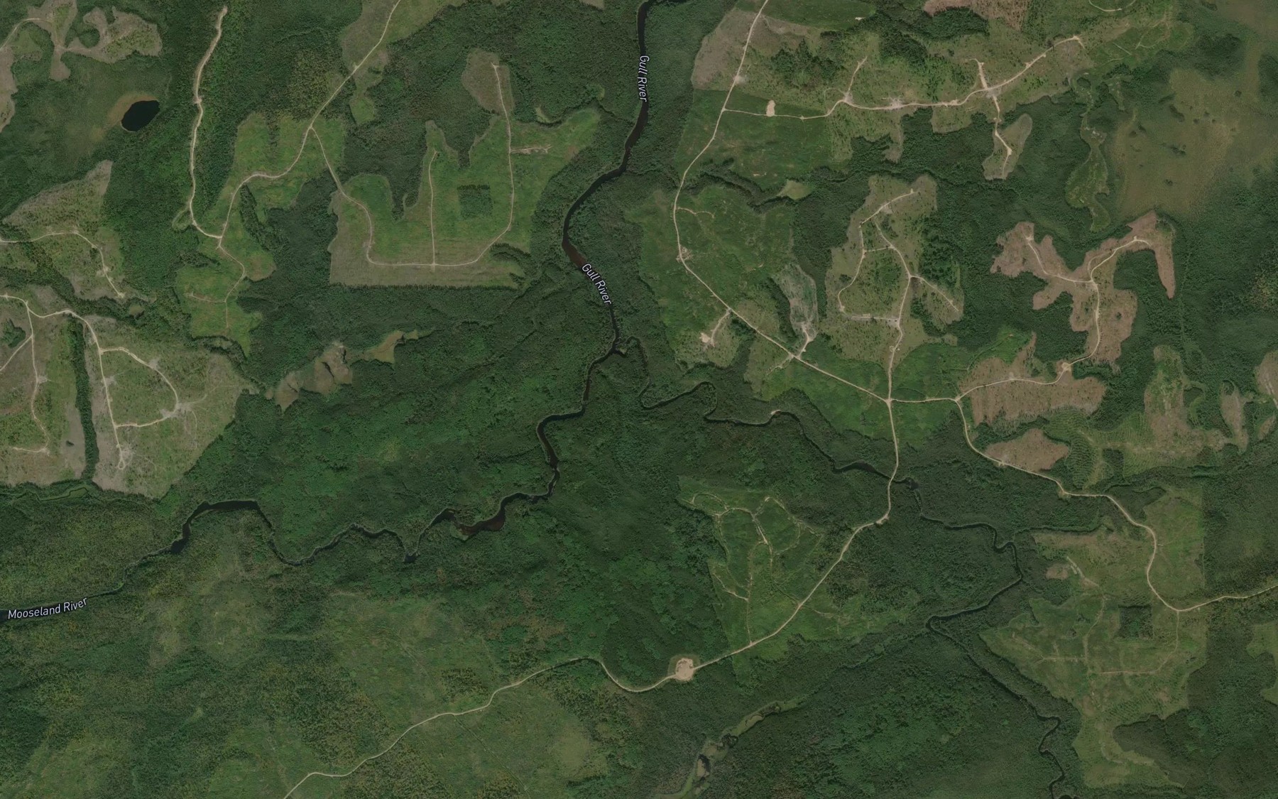 Satellite map of the Mooseland River