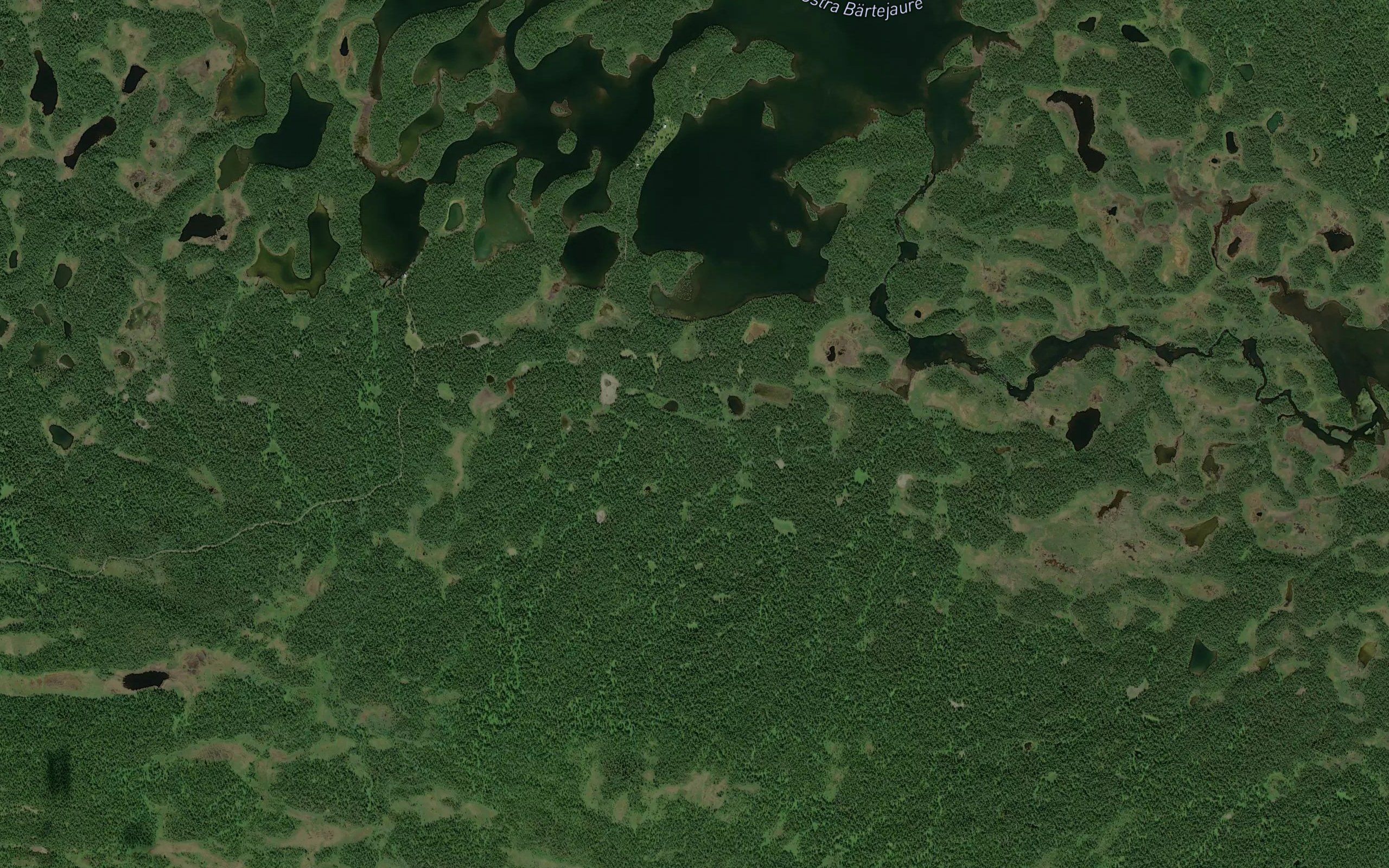 Bartejaure