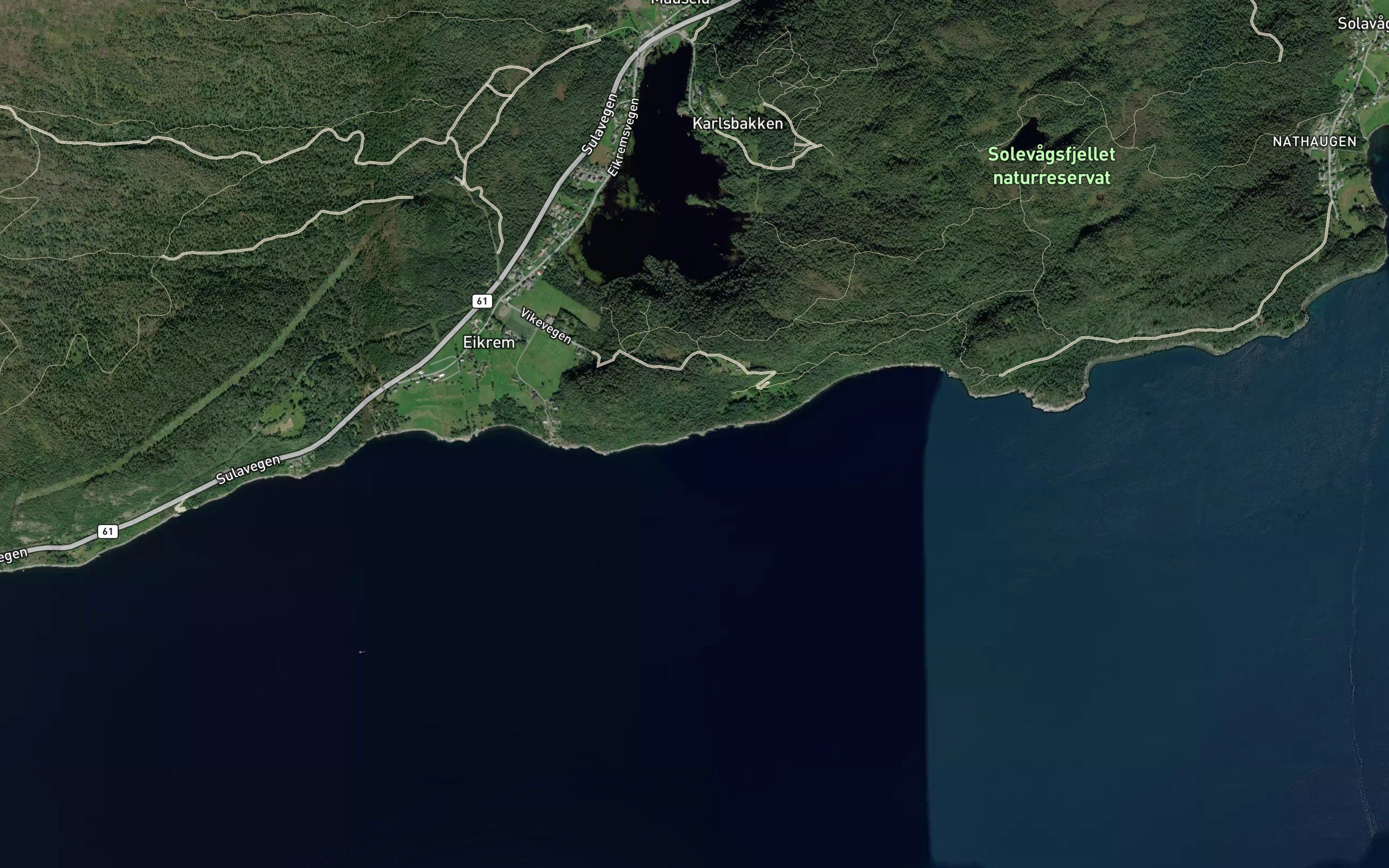 Kattavika