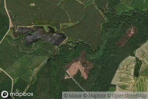 Scooter Route Branch