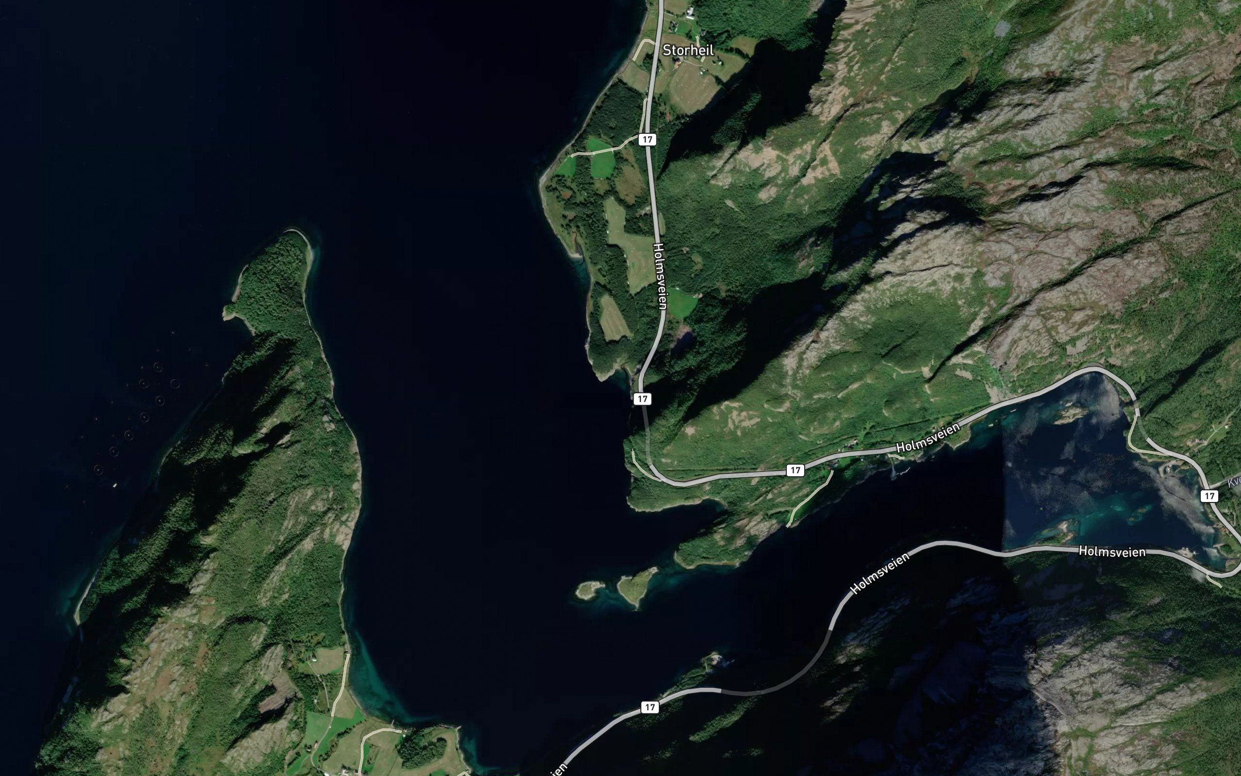 Lovika