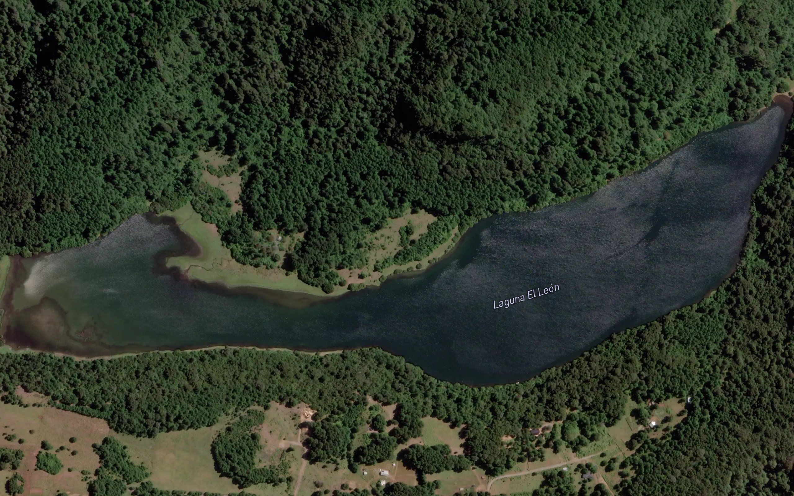 Laguna del Leon