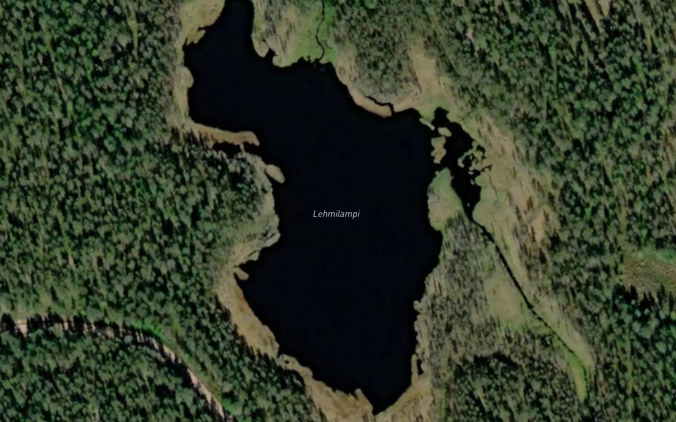 Lehmilampi