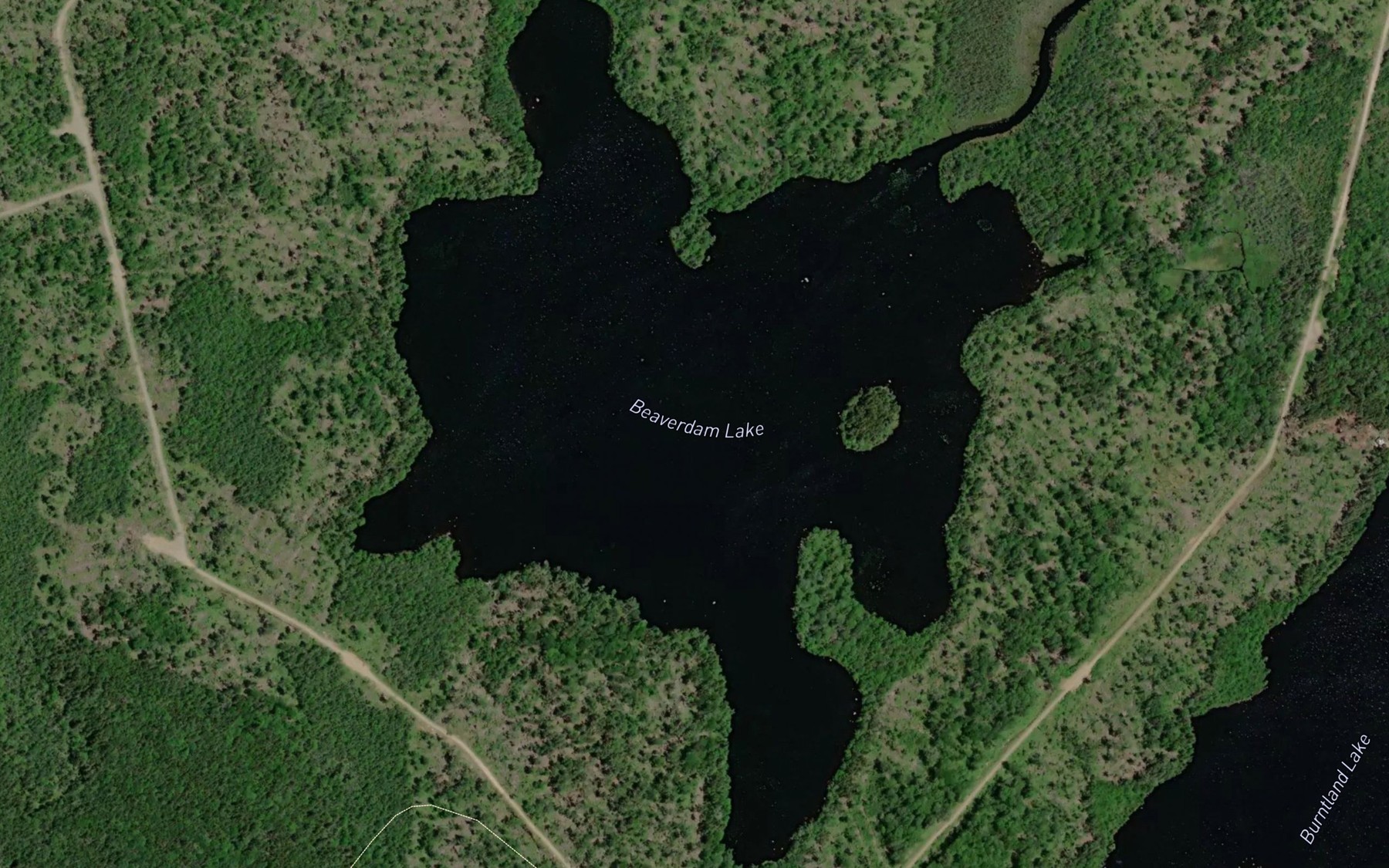 Satellite map of the Beaverdam Lake