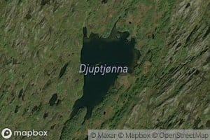 Djuptjorna