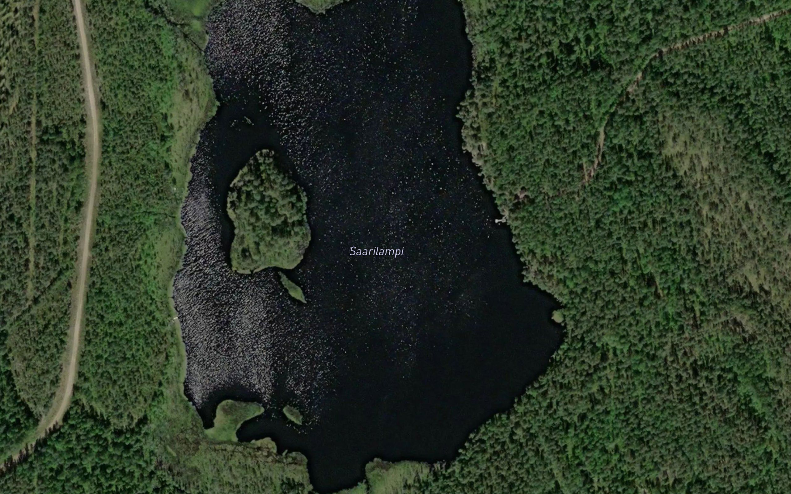 Saarilampi