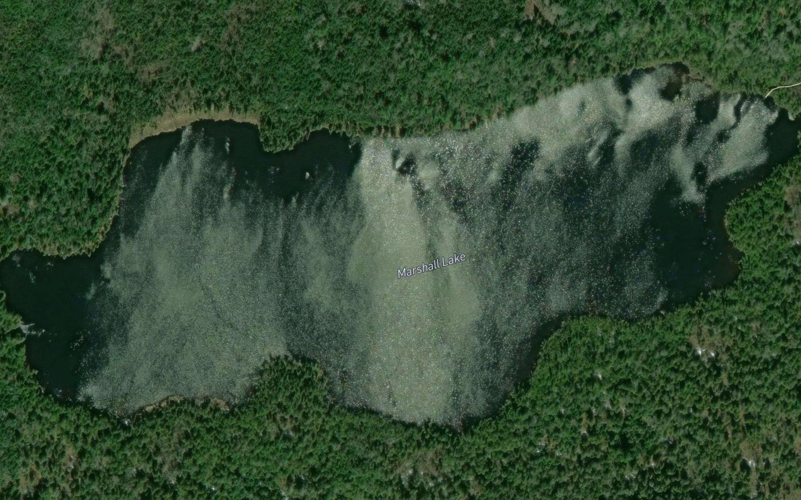 Marshall Lake