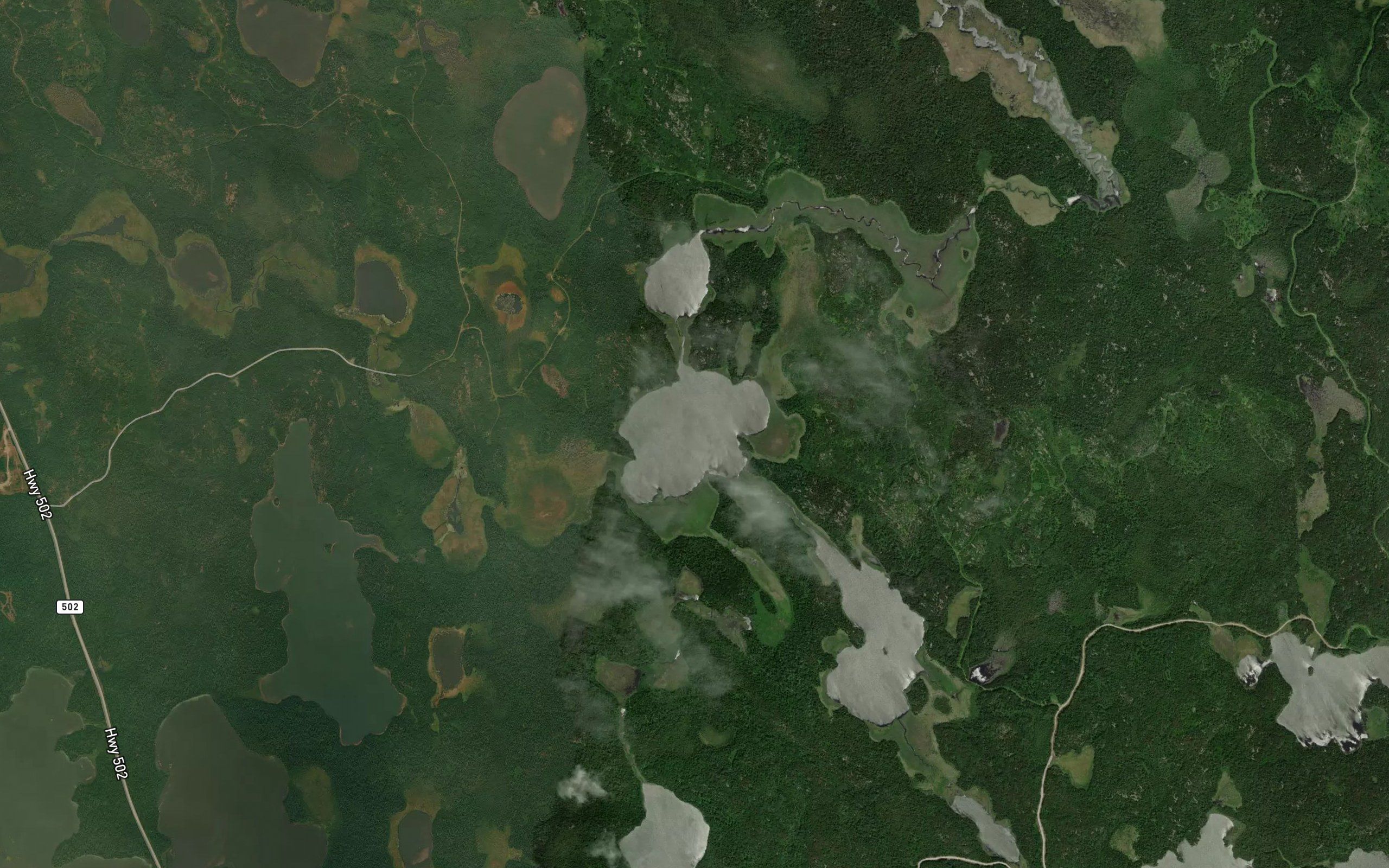 Marilyn Lake