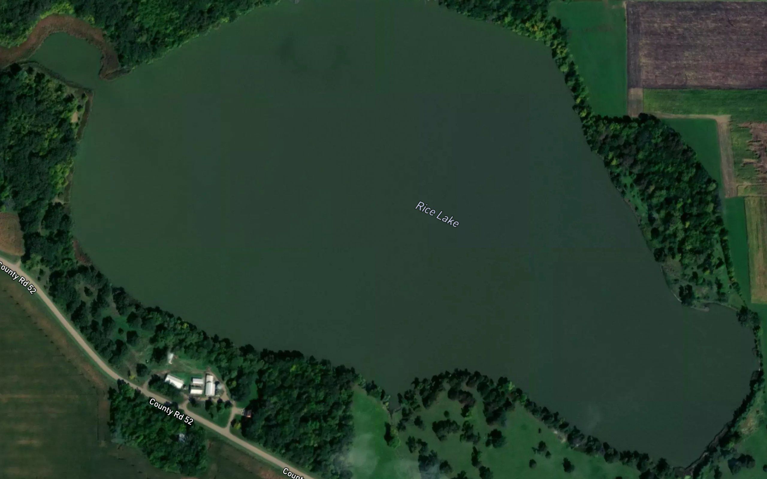 Rice Lake