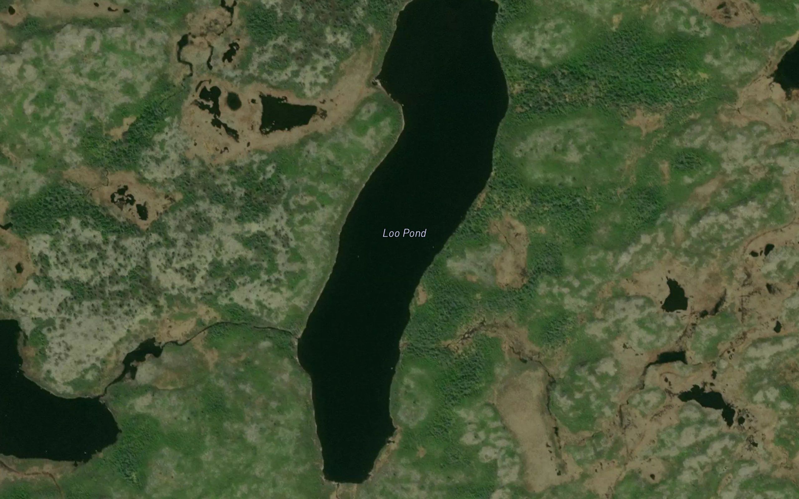 Loo Pond