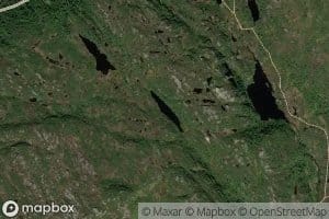 Grasdalstjorni