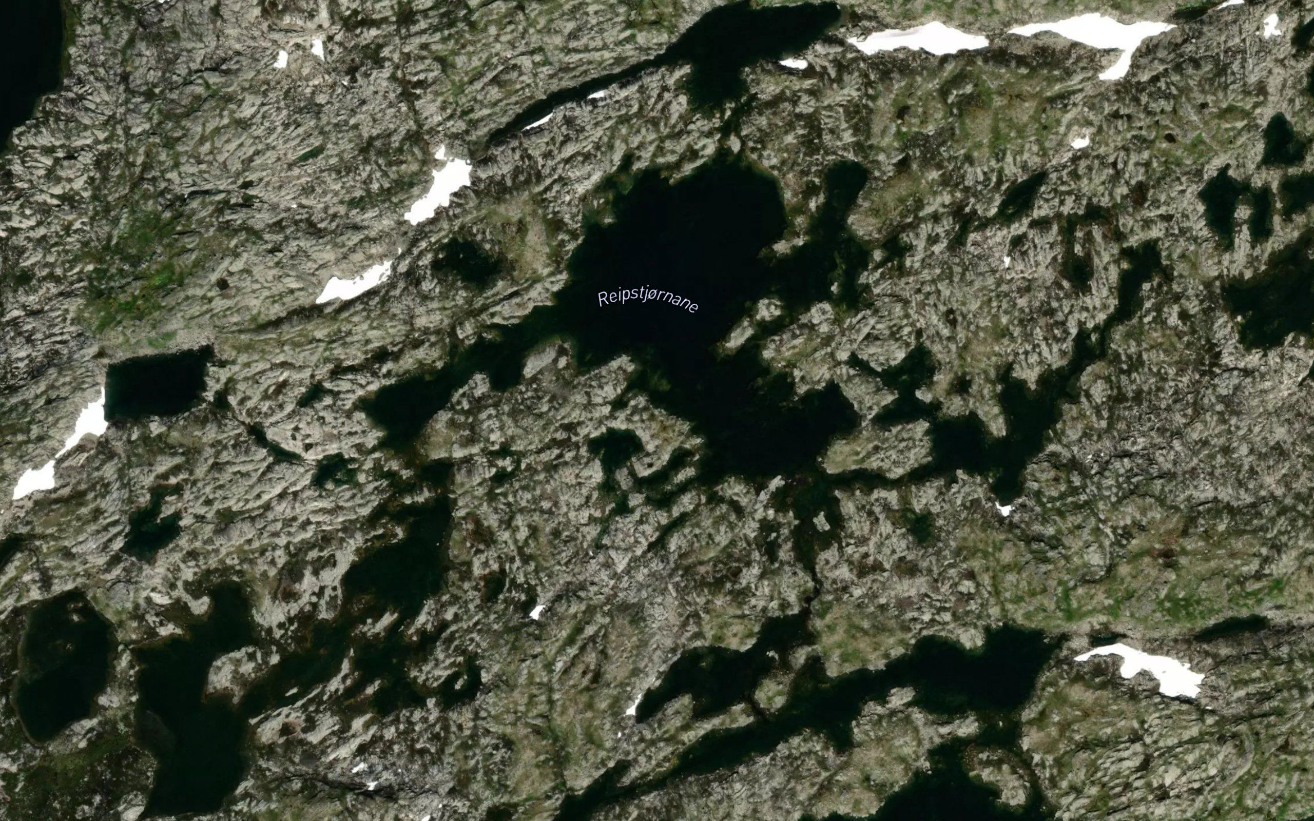 Reipstjornane