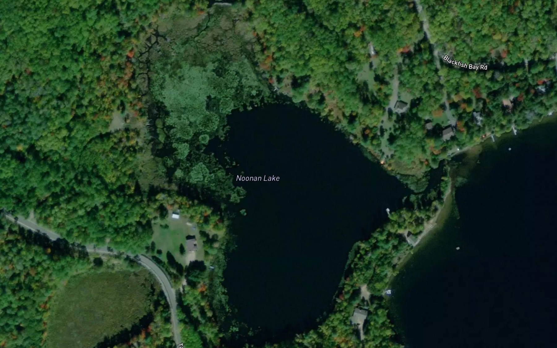 Satellite map of the Noonan Lake