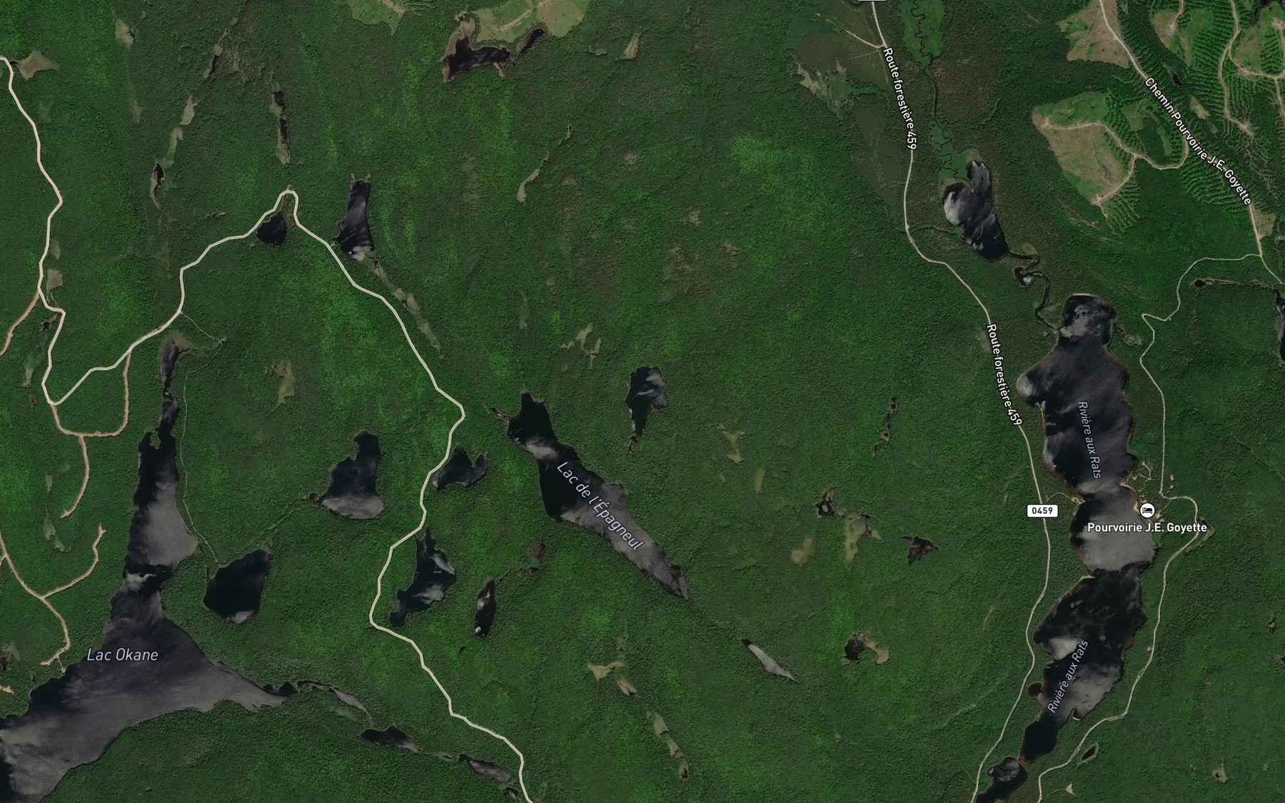 Satellite map of the Lac Perdu