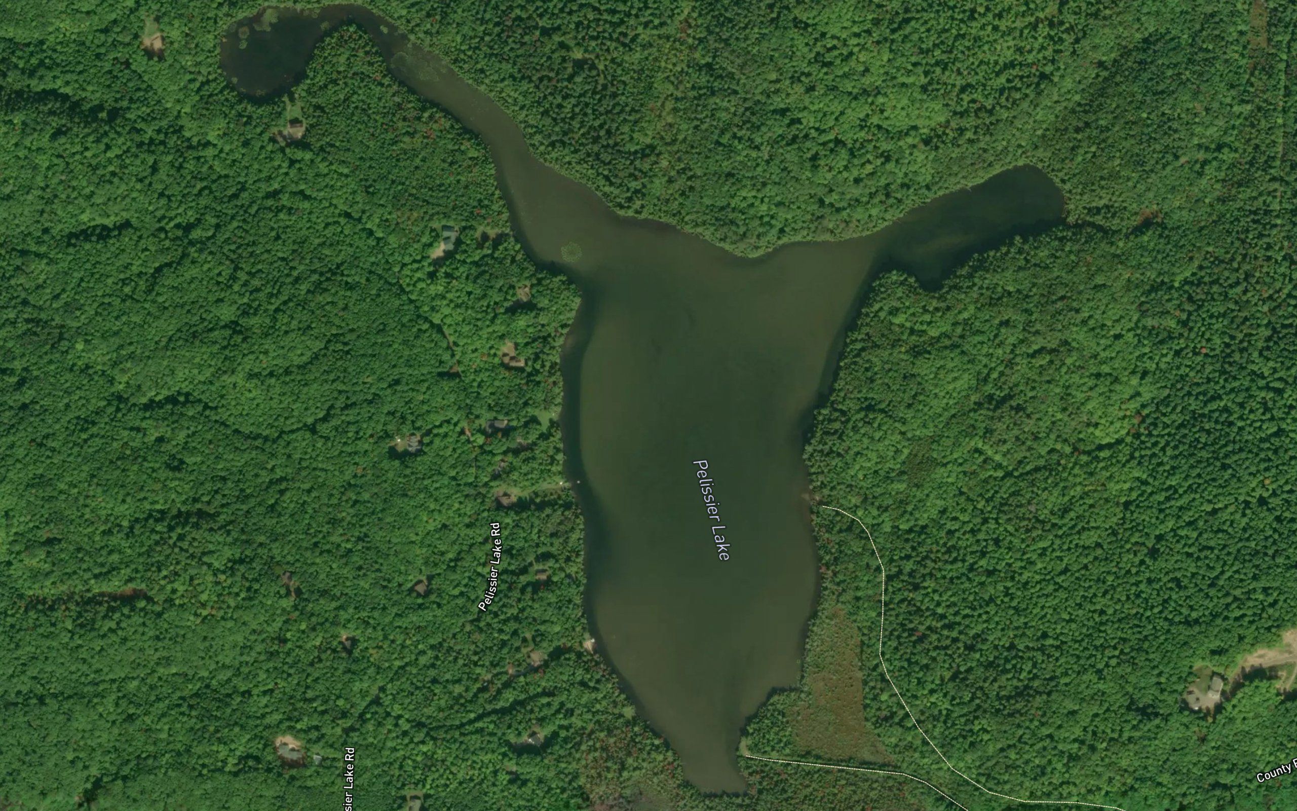 Pelissier Lake