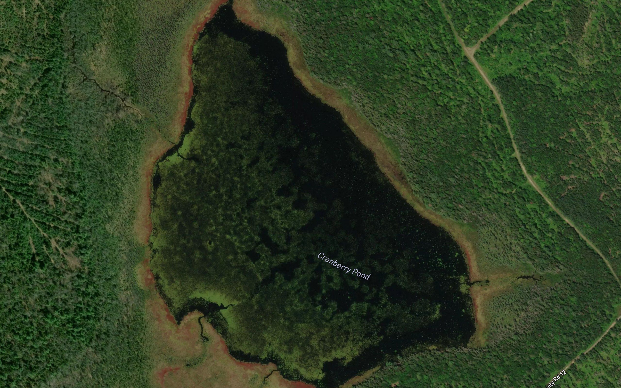 Cranberry Pond