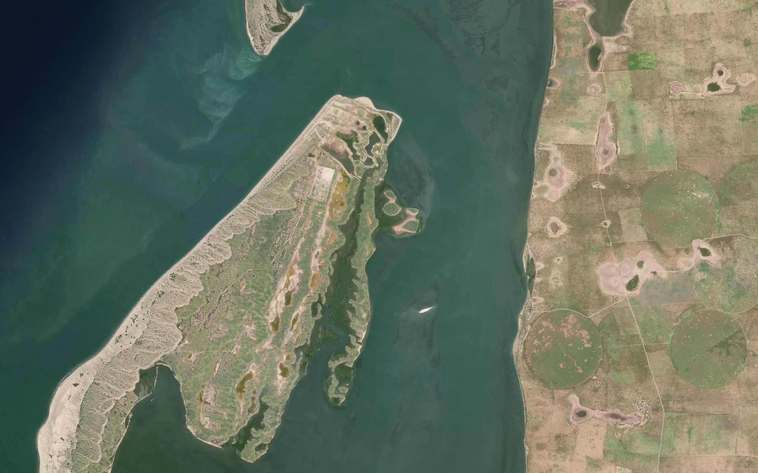 Ensenada Los Musicos