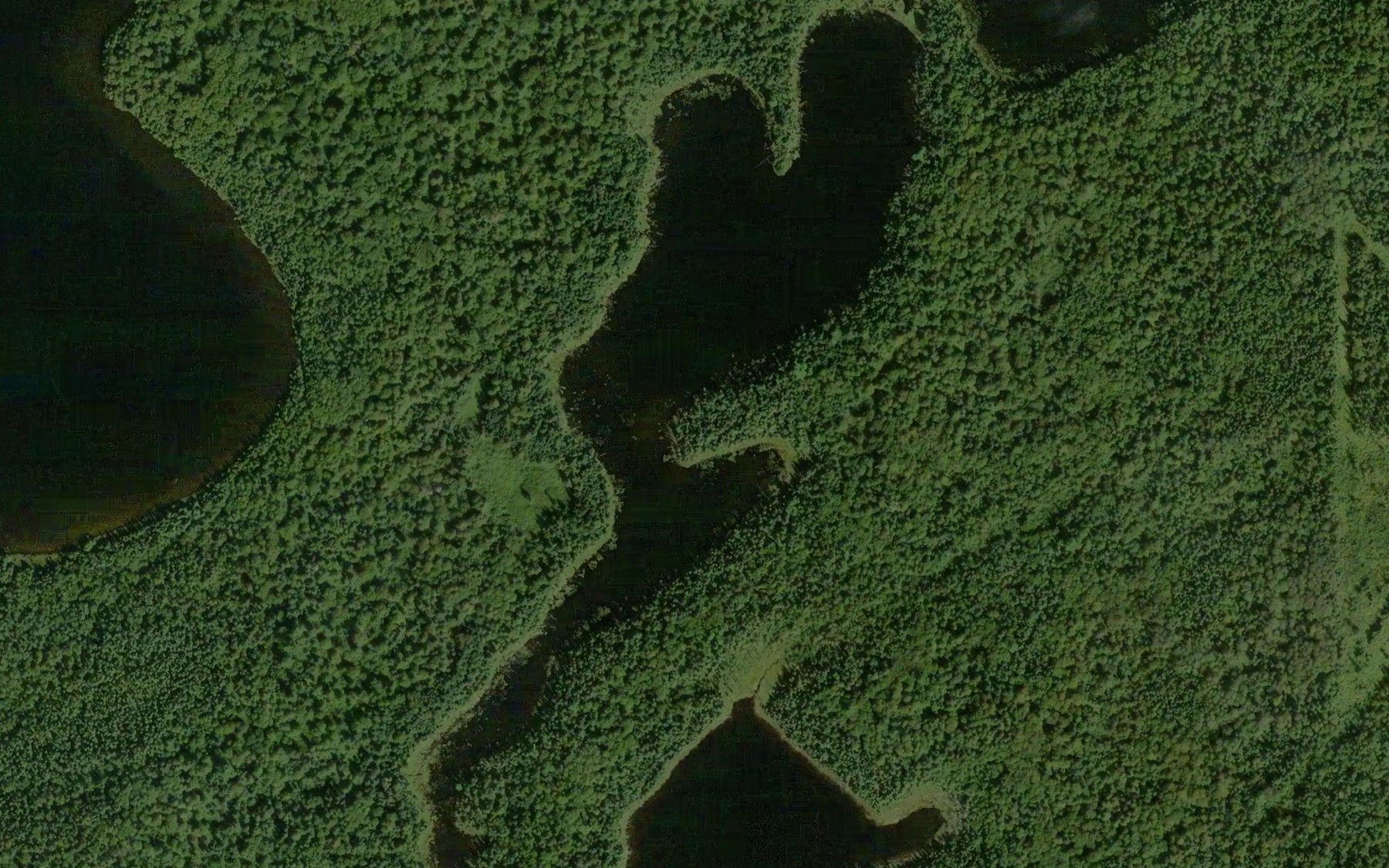 Satellite map of the Corkscrew Lake