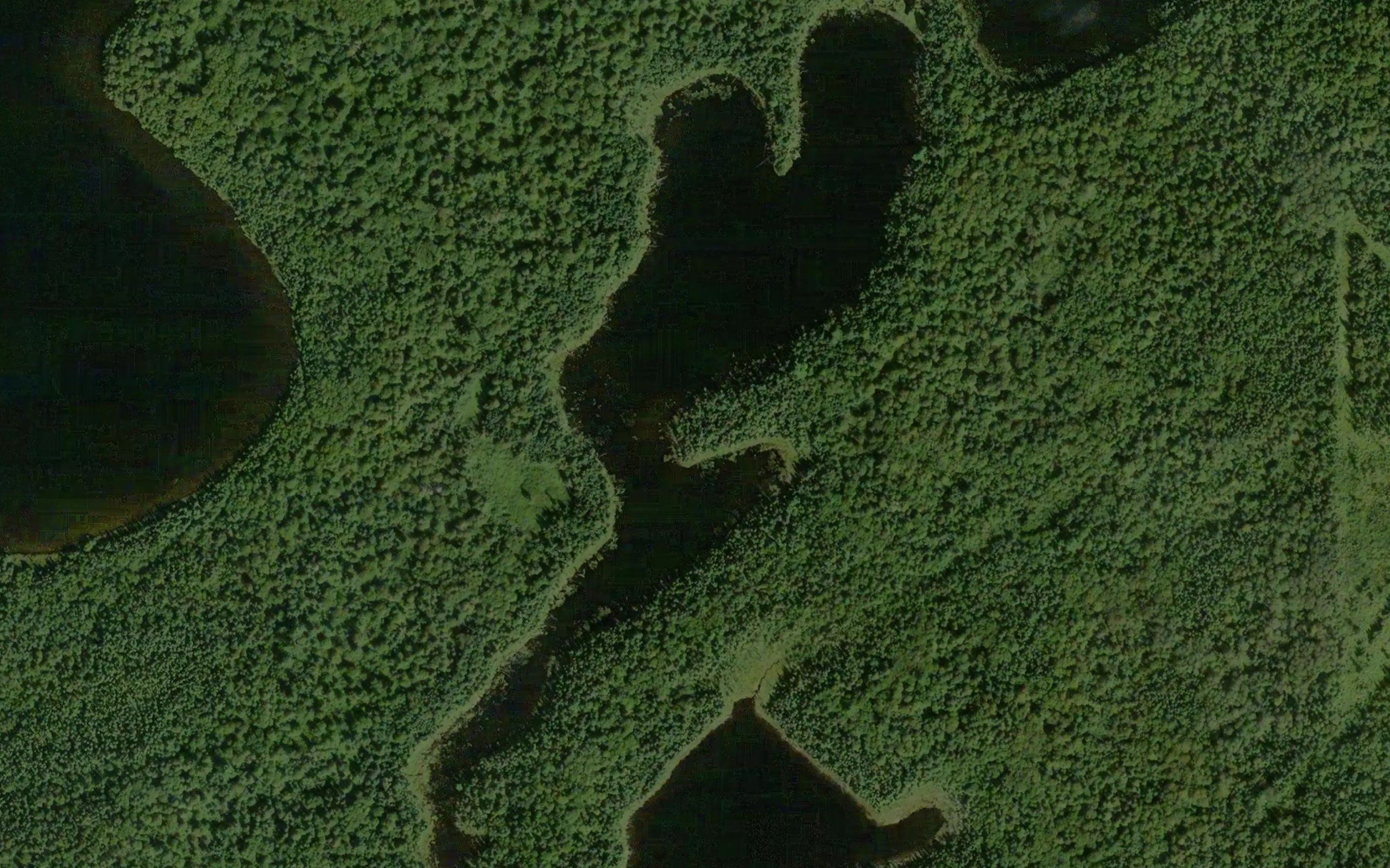 Corkscrew Lake