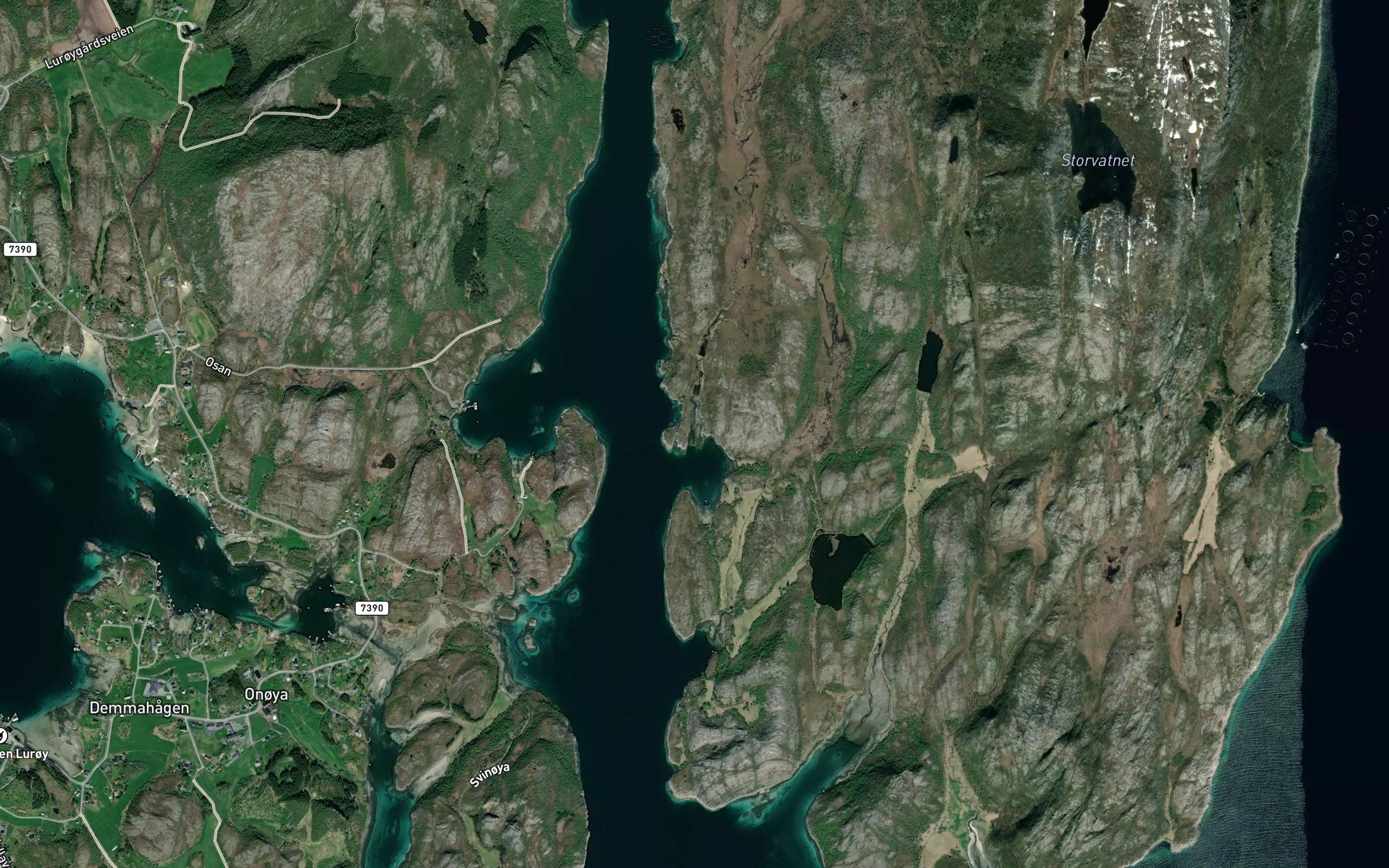Rogndalsvika