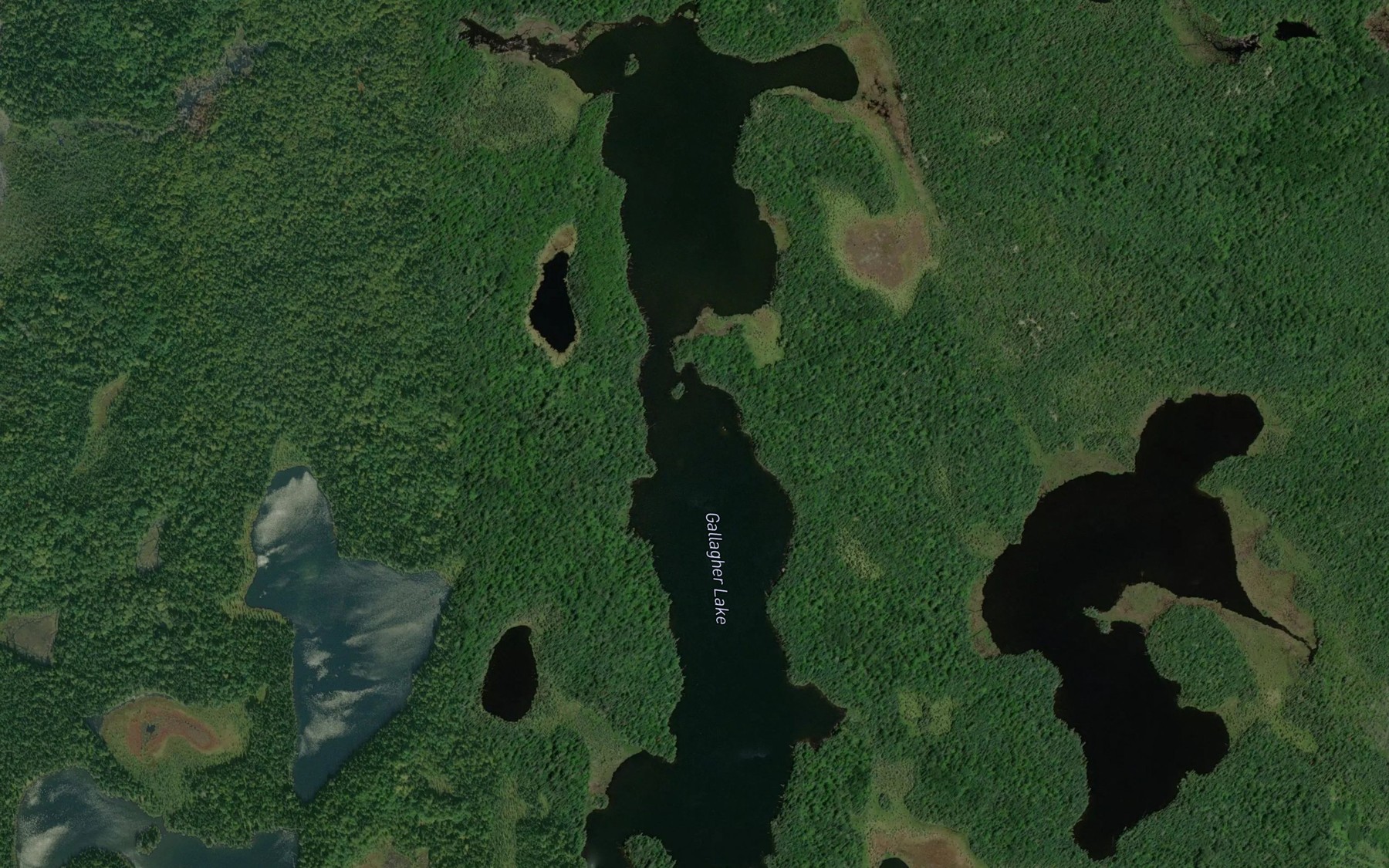 Satellite map of the Gallagher Lake