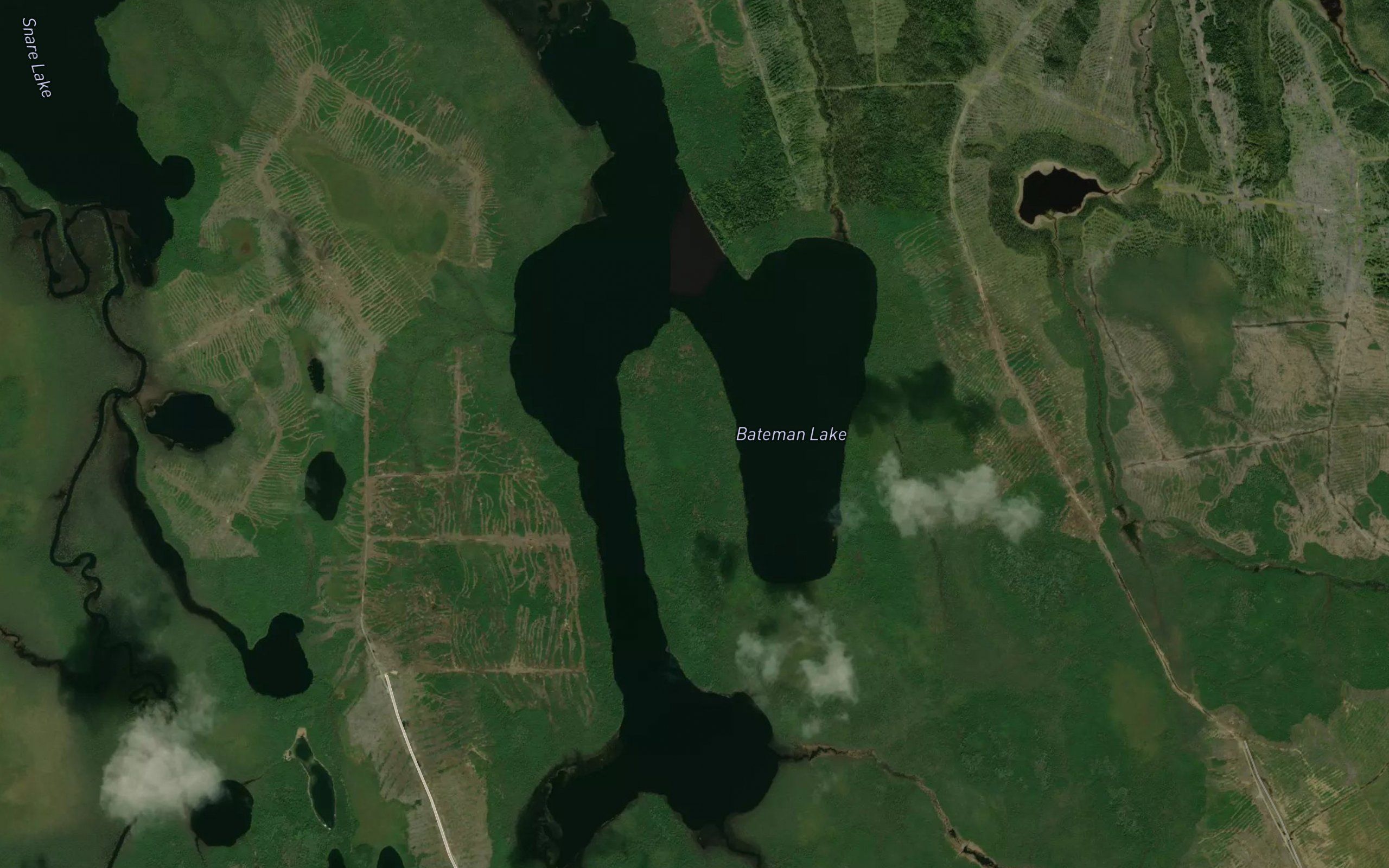Bateman Lake
