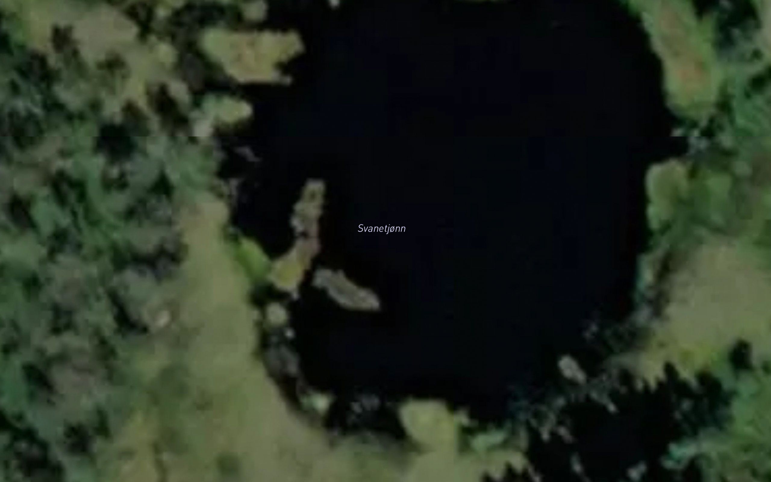Svanetjonn
