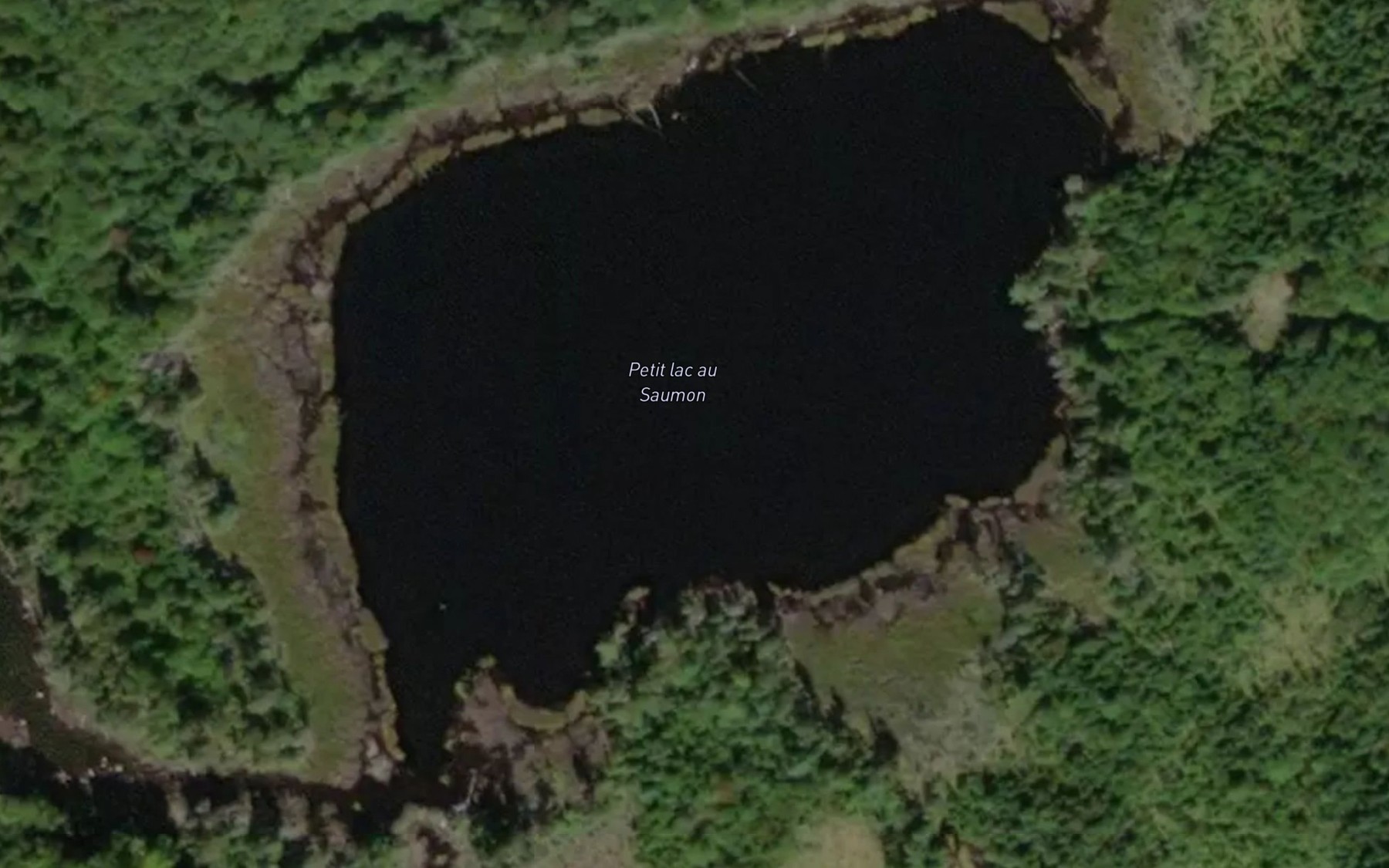 Satellite map of the Petit lac au Saumon