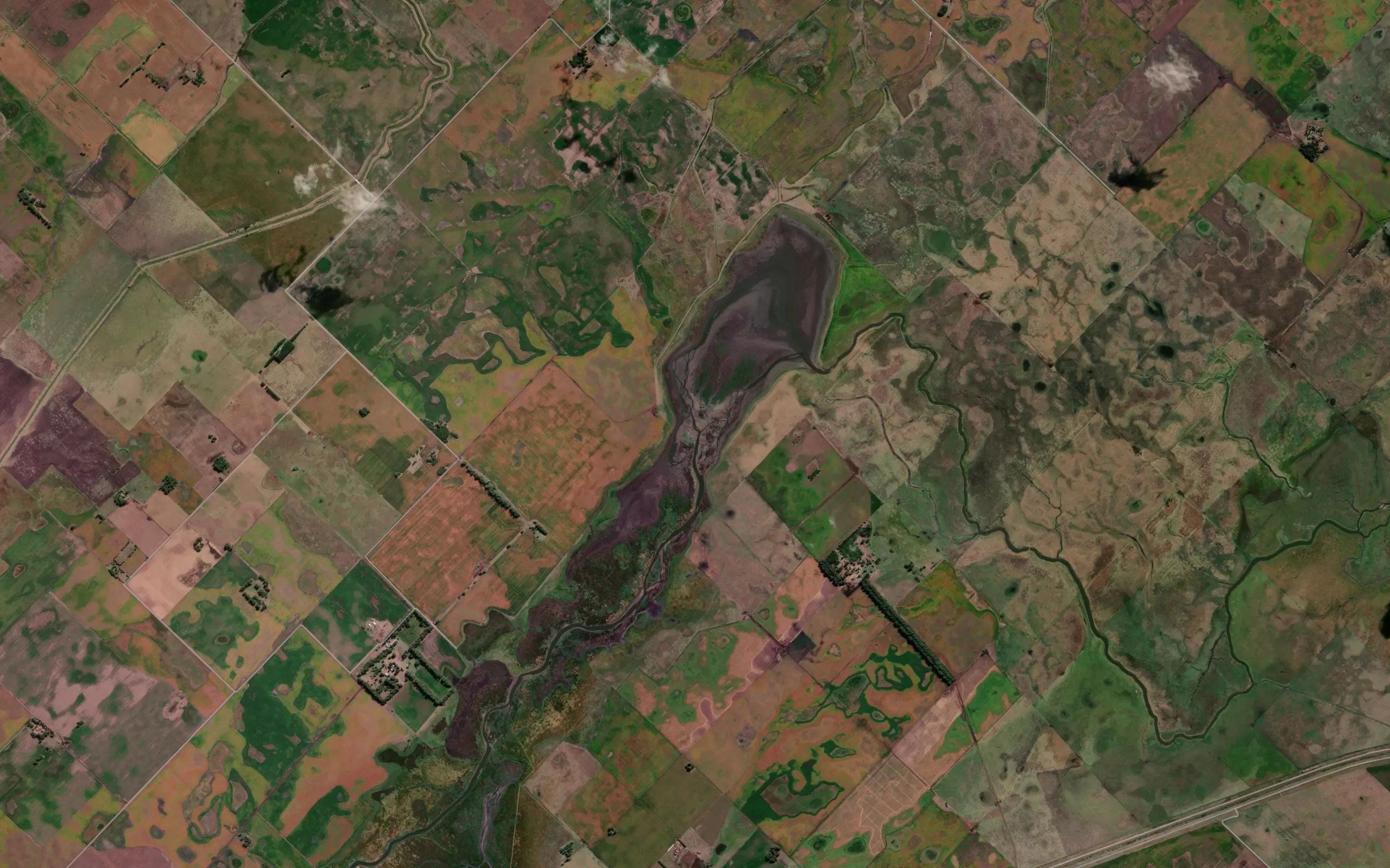 Laguna La Verdosa