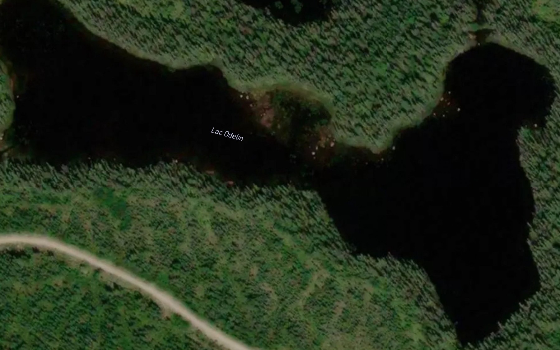 Satellite map of the Lac Odelin