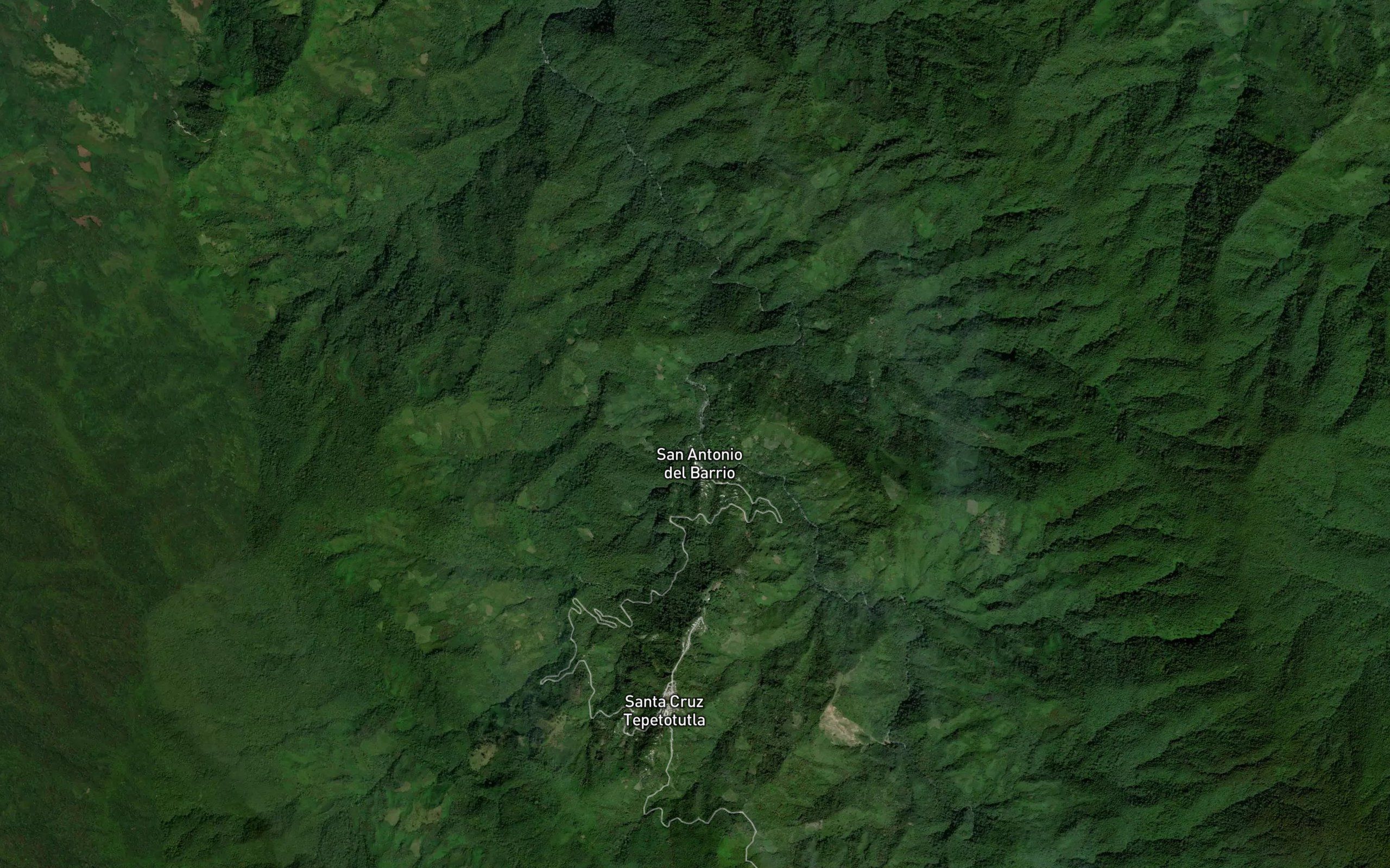 El Tlacuache