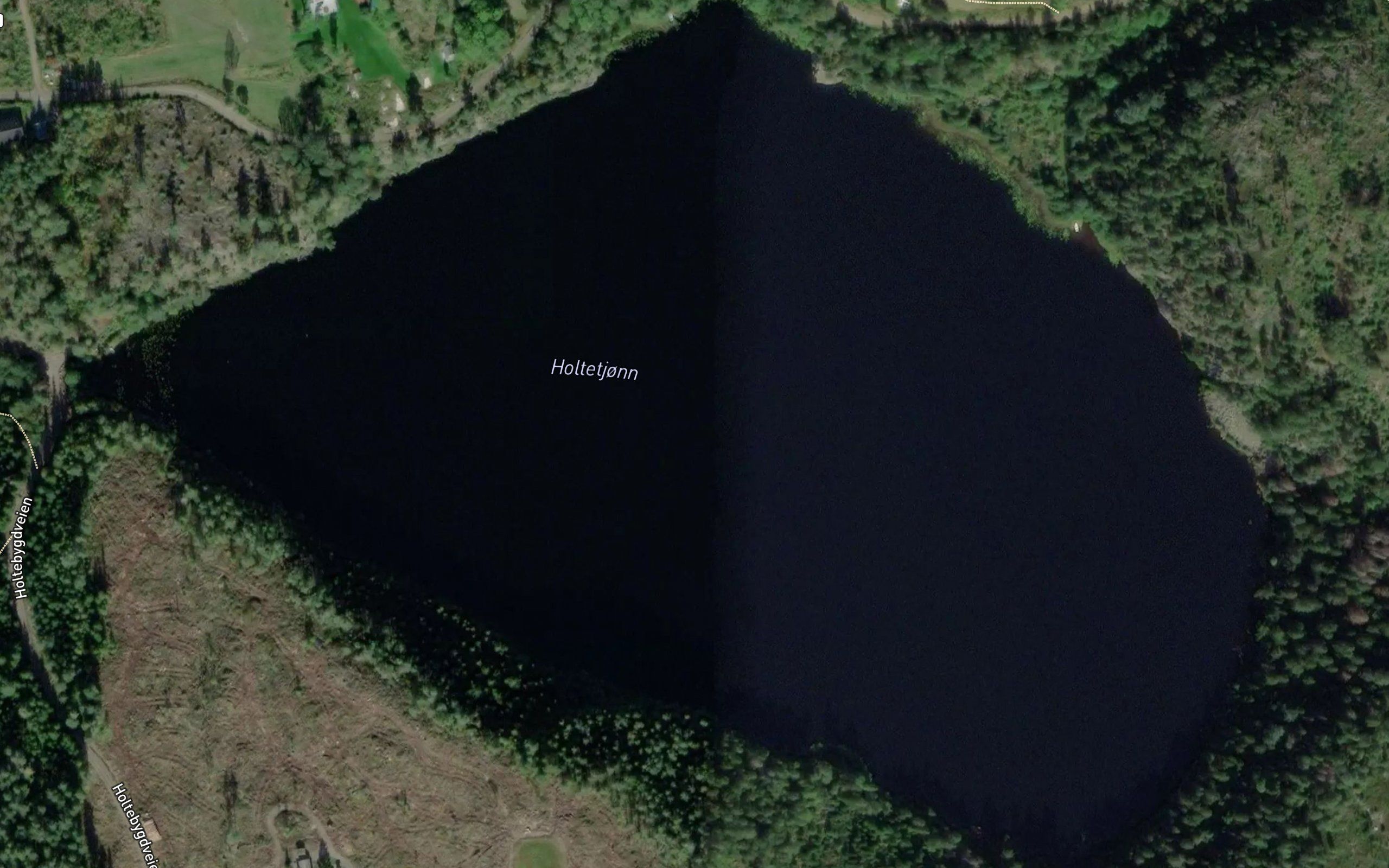 Holtetjorn