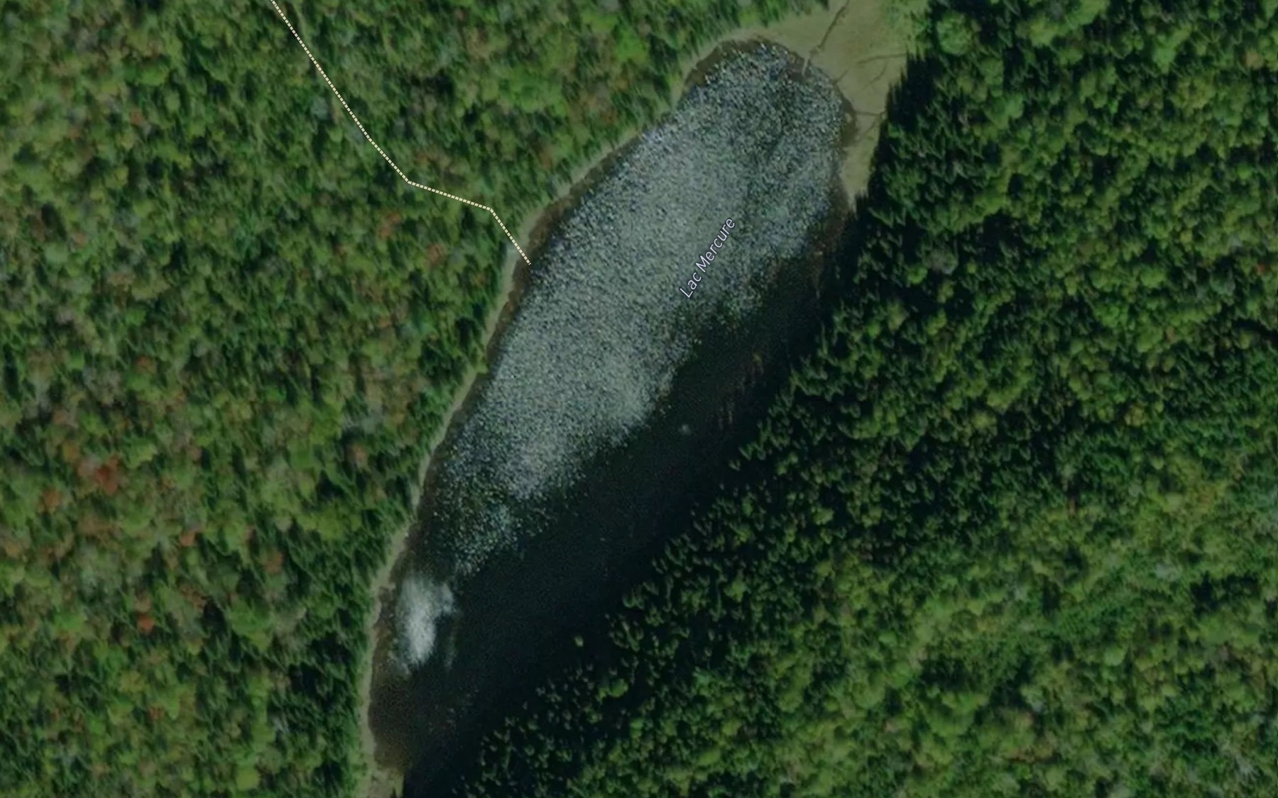 Satellite map of the Lac Mercure