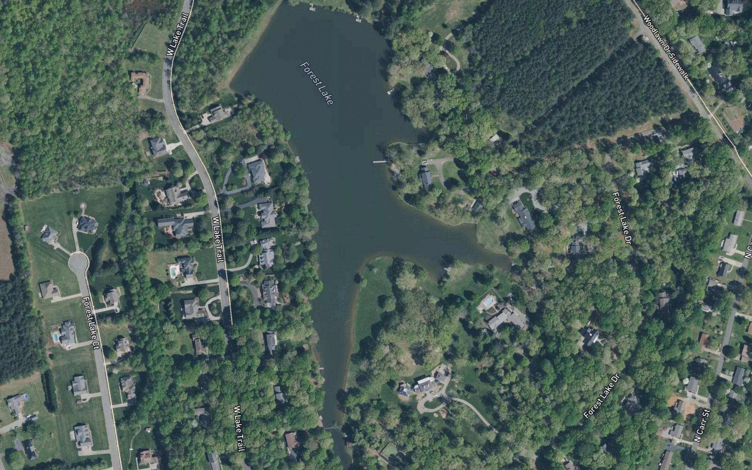 Forest Lake