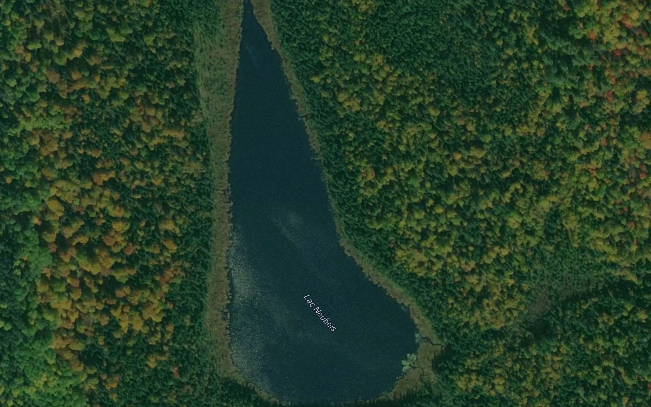 Lac Neubois