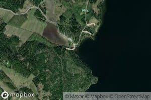 Liekkiinoja