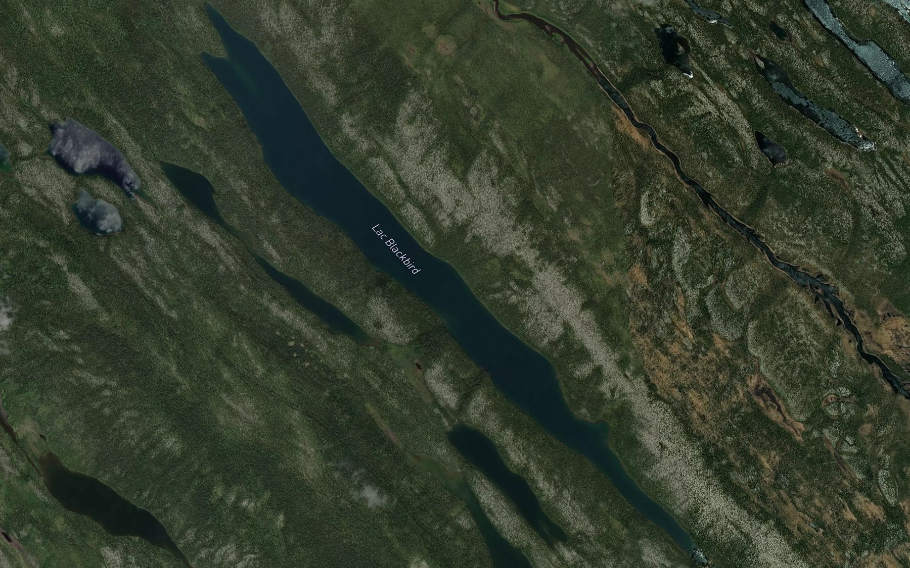 Satellite map of the Lac Blackbird