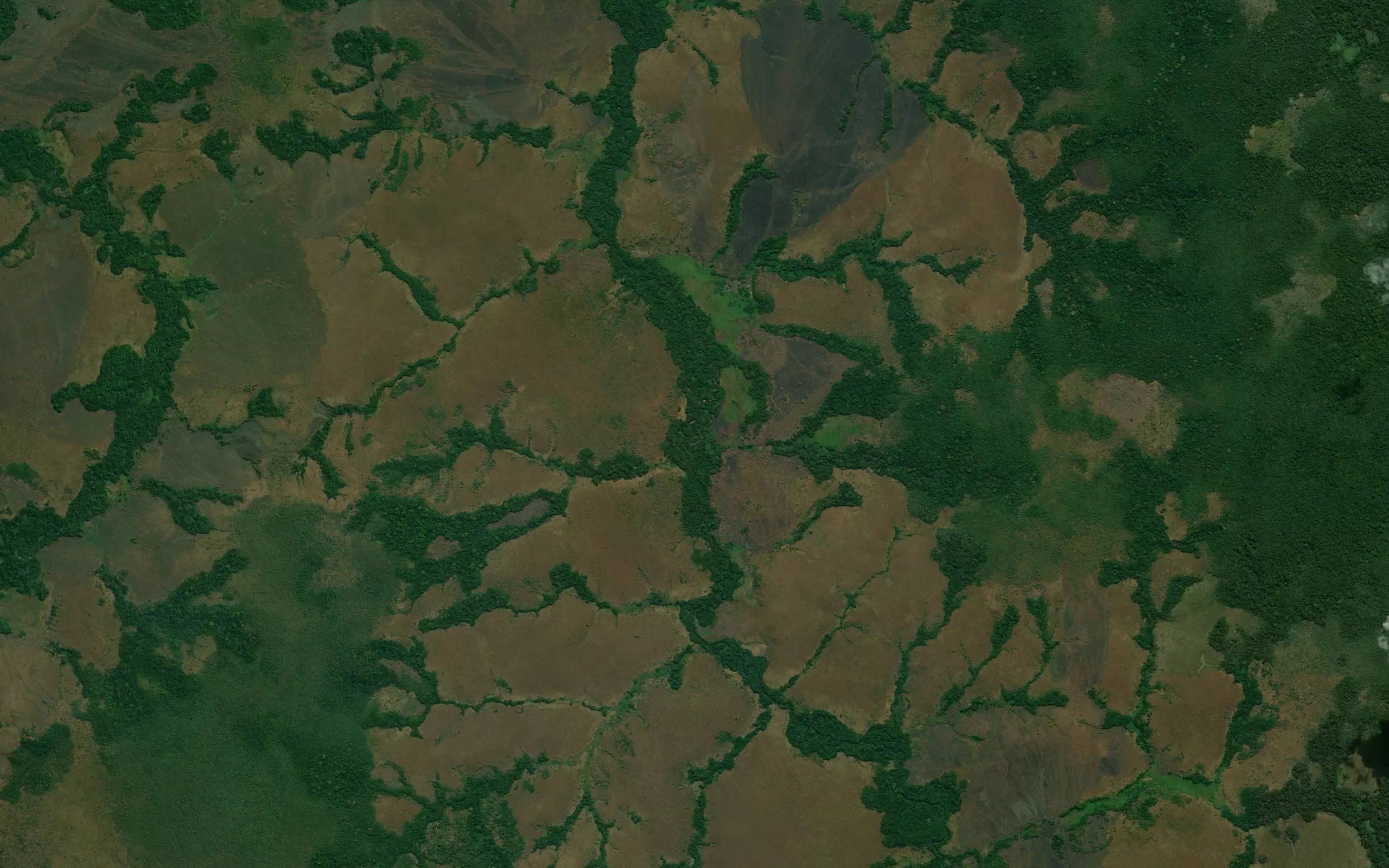 Kandolo