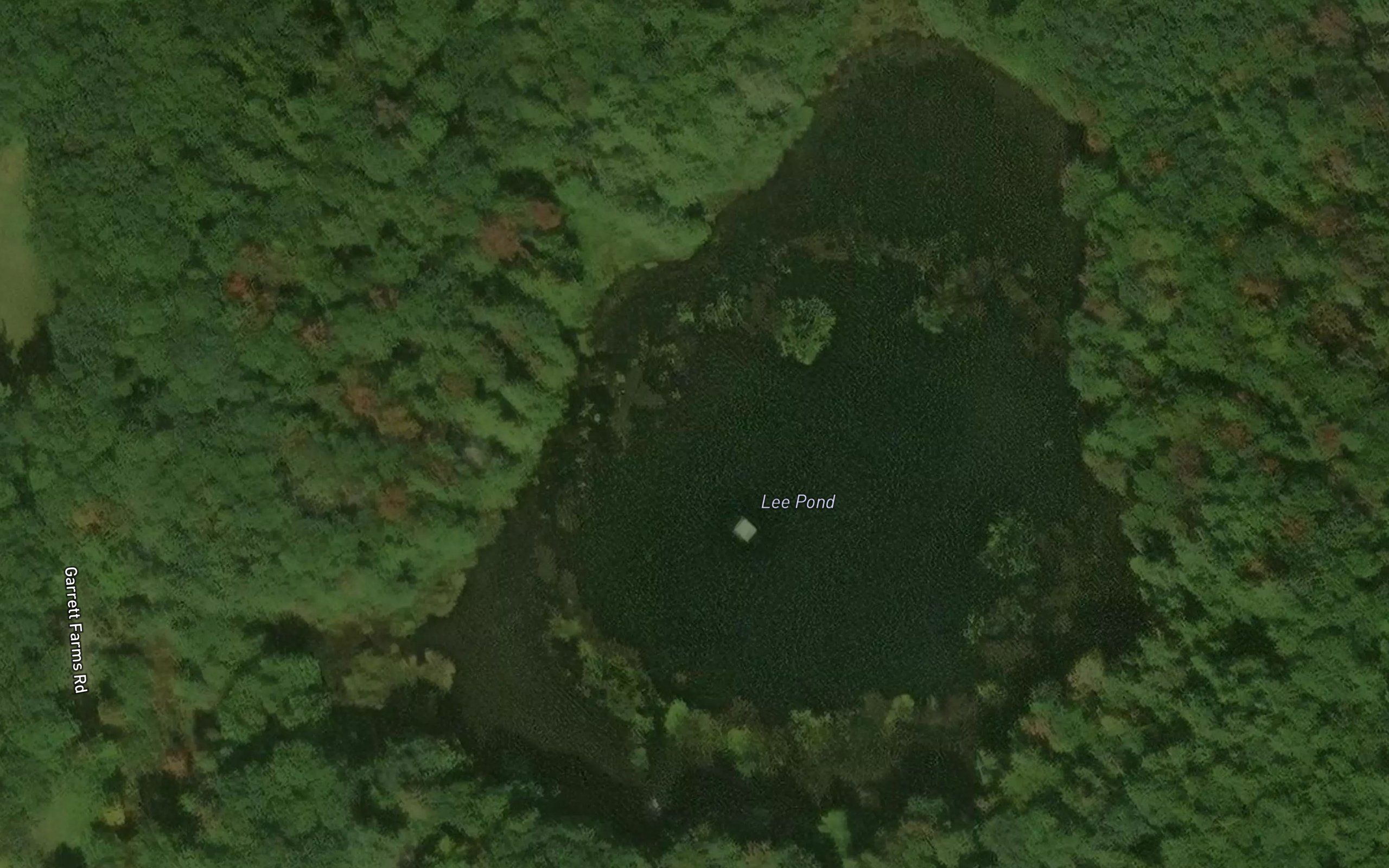 Lee Pond