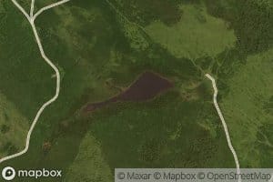 Douglas Pond