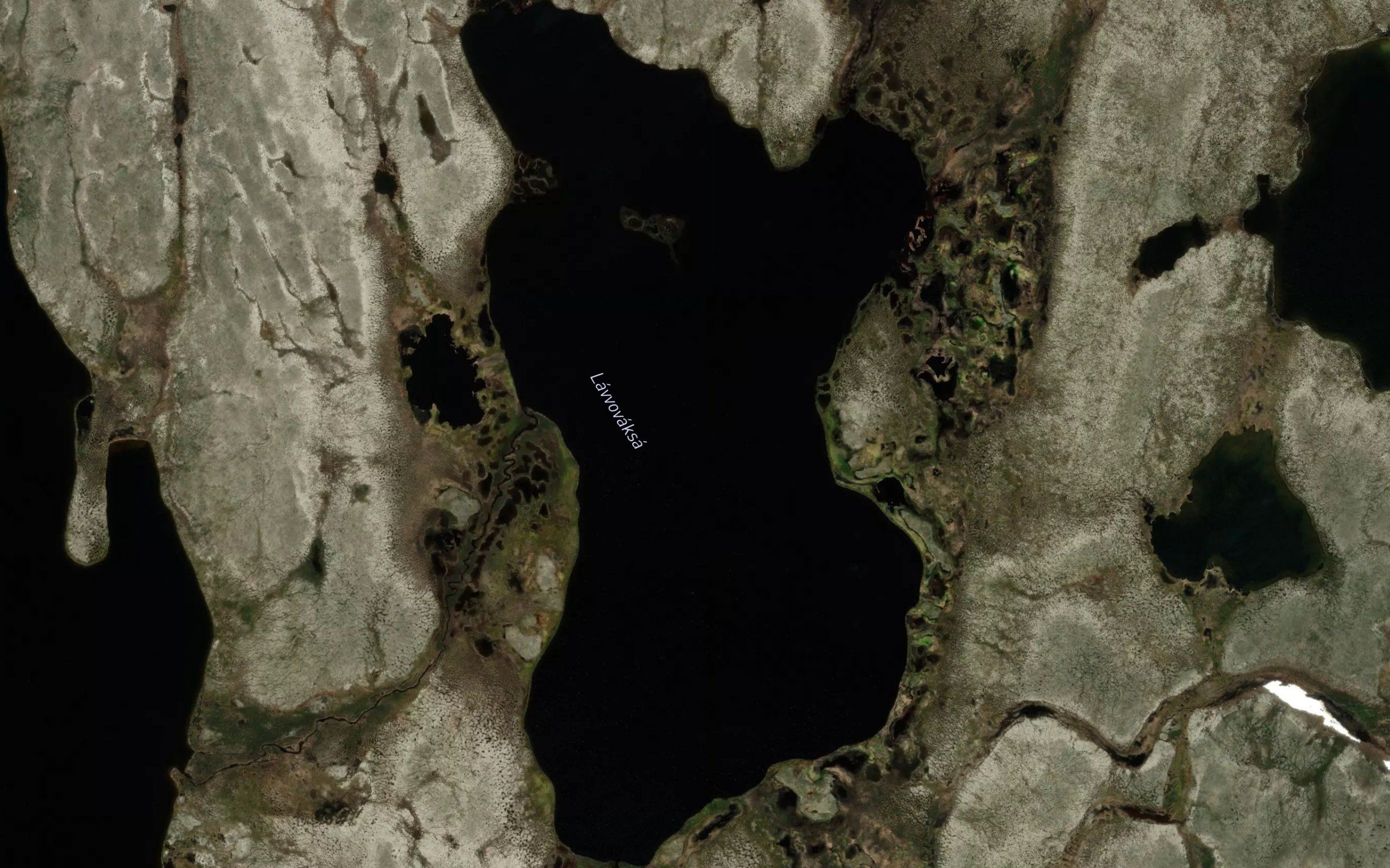 Lavvuvaksa
