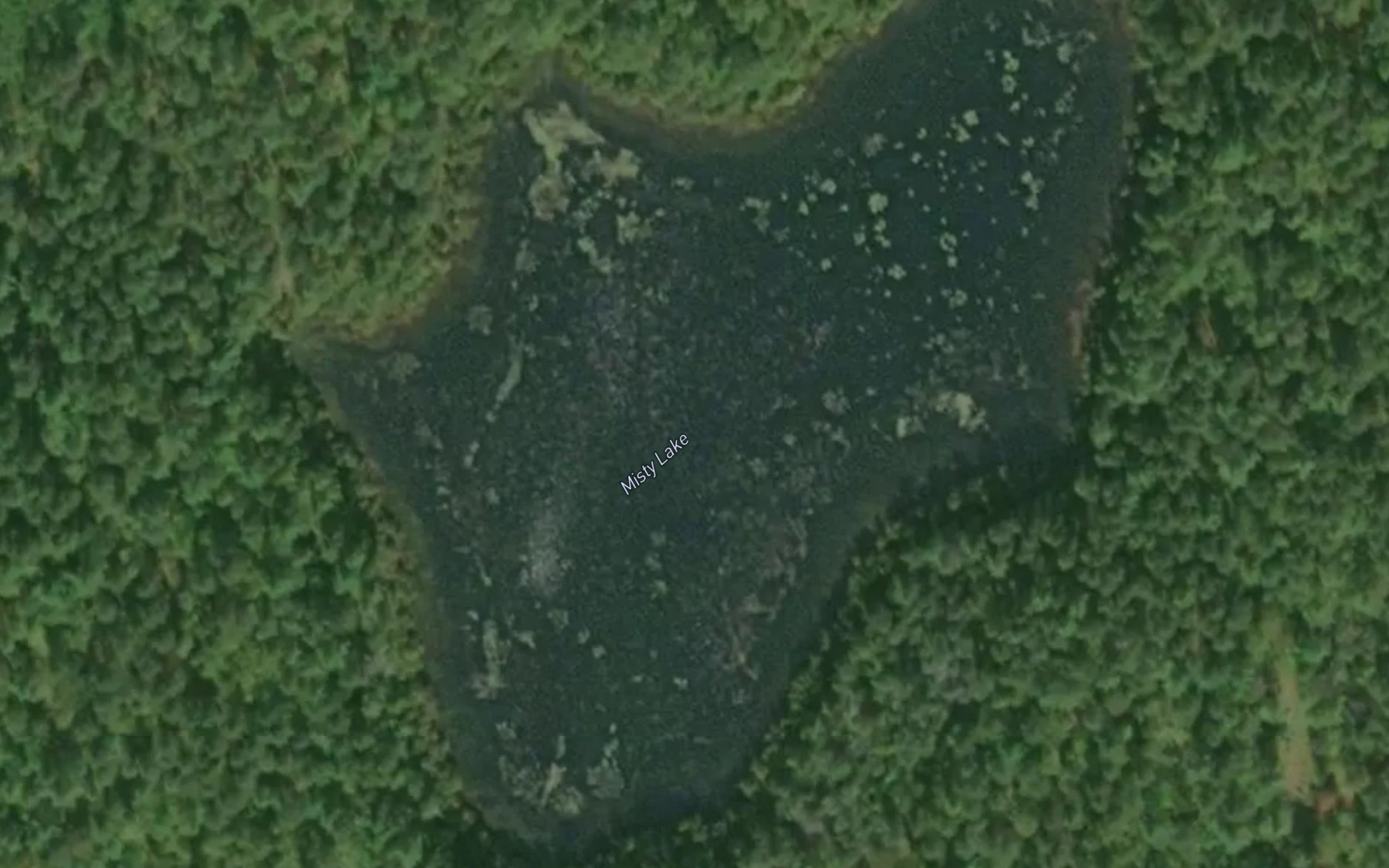 Satellite map of the Misty Lake