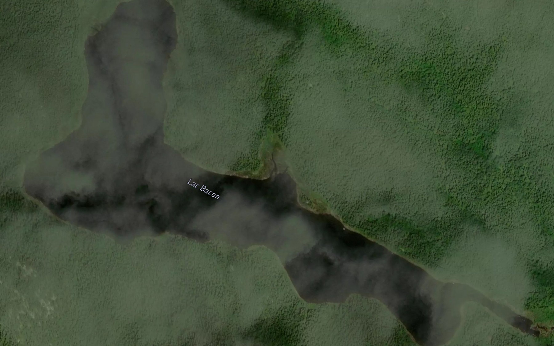 Satellite map of the Lac Bacon
