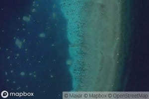 Ribbon Number Three Reef