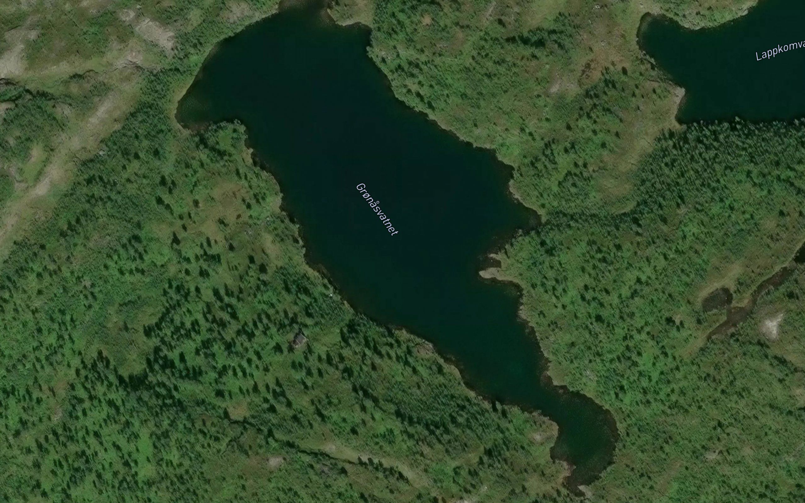 Gronasvatnet