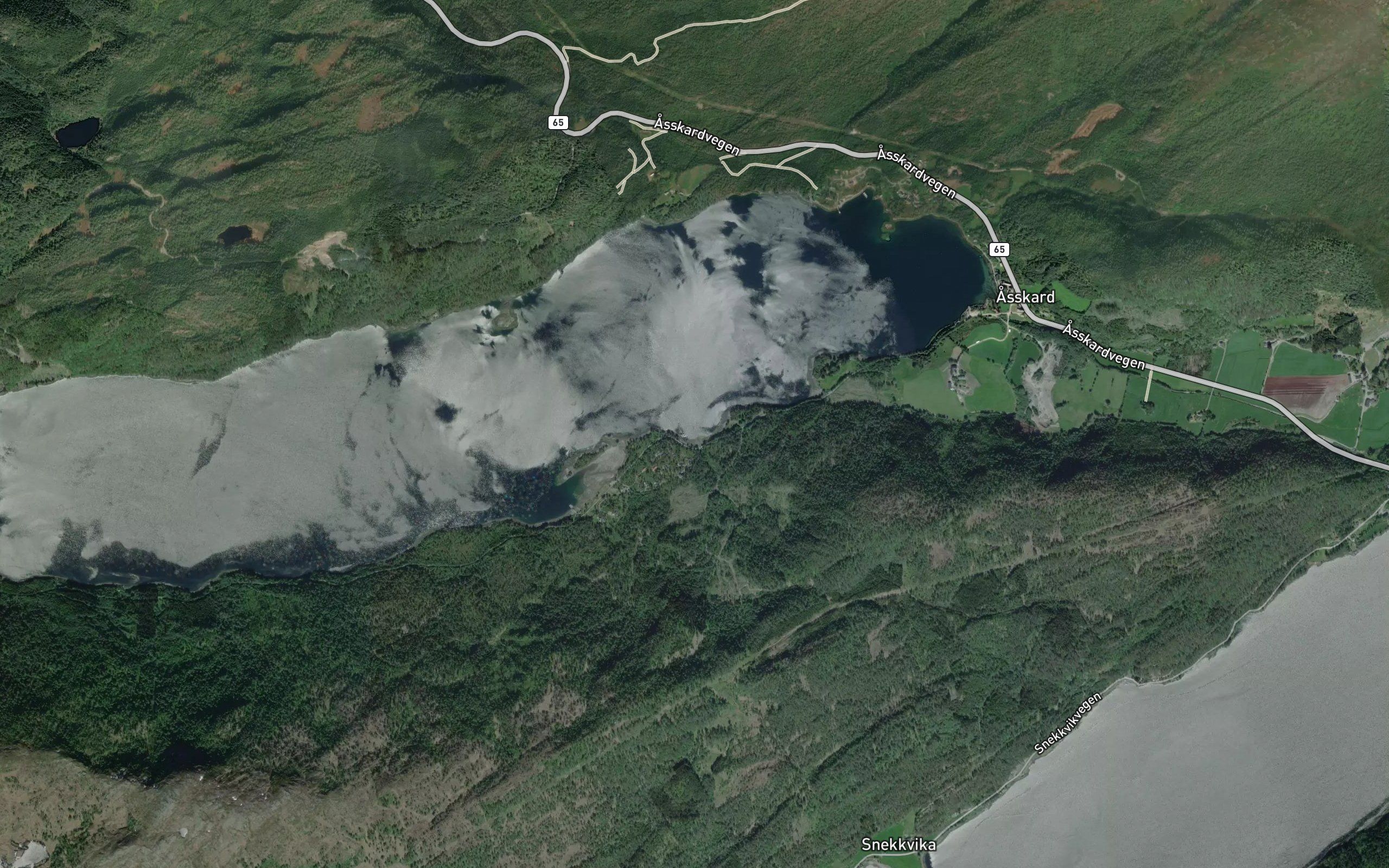 Assvikbukta